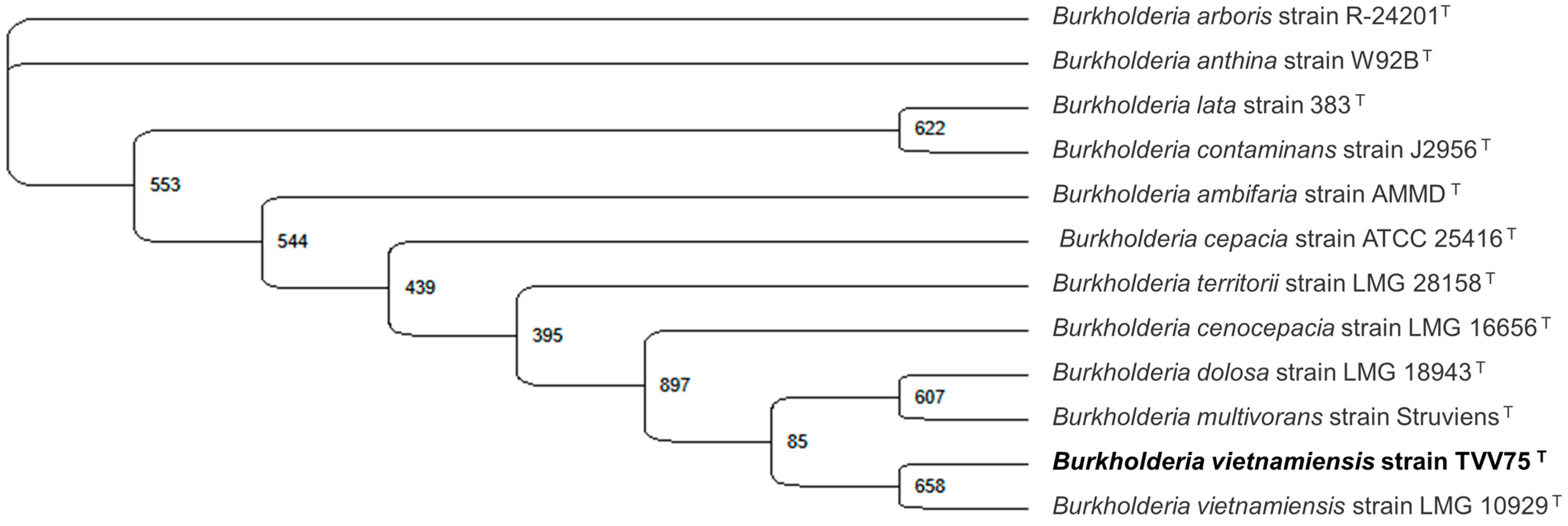 Microorganisms 13 02559 g001