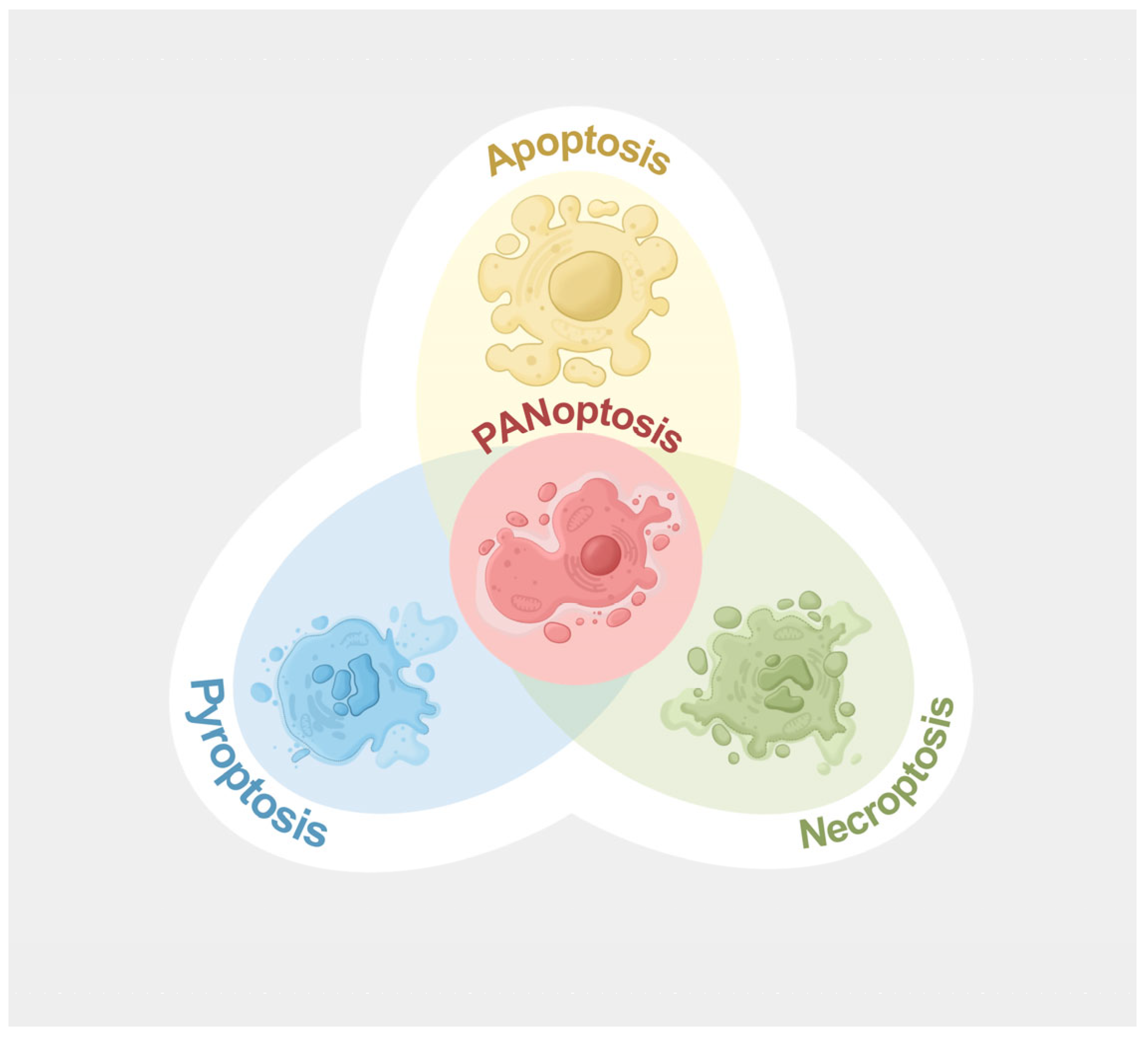 Microorganisms 13 02560 g001