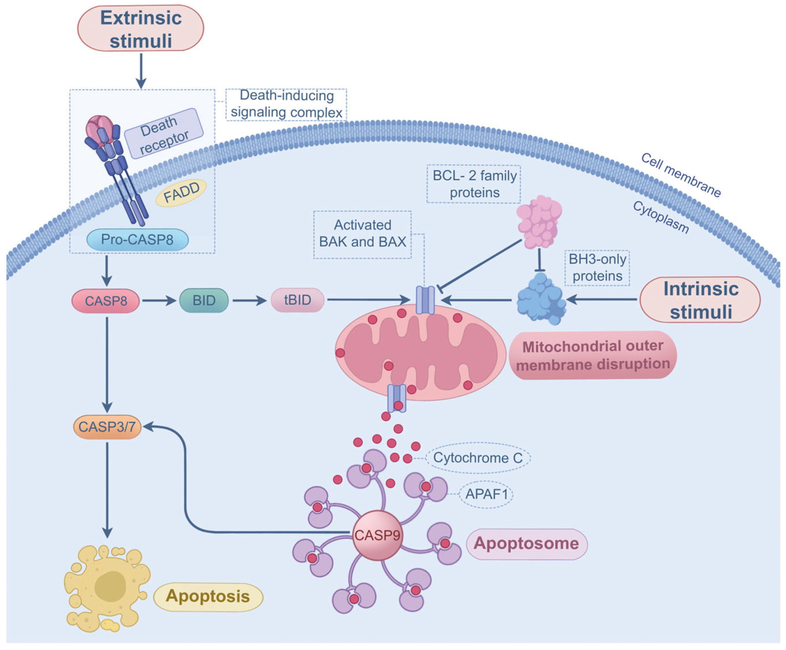 Microorganisms 13 02560 g003