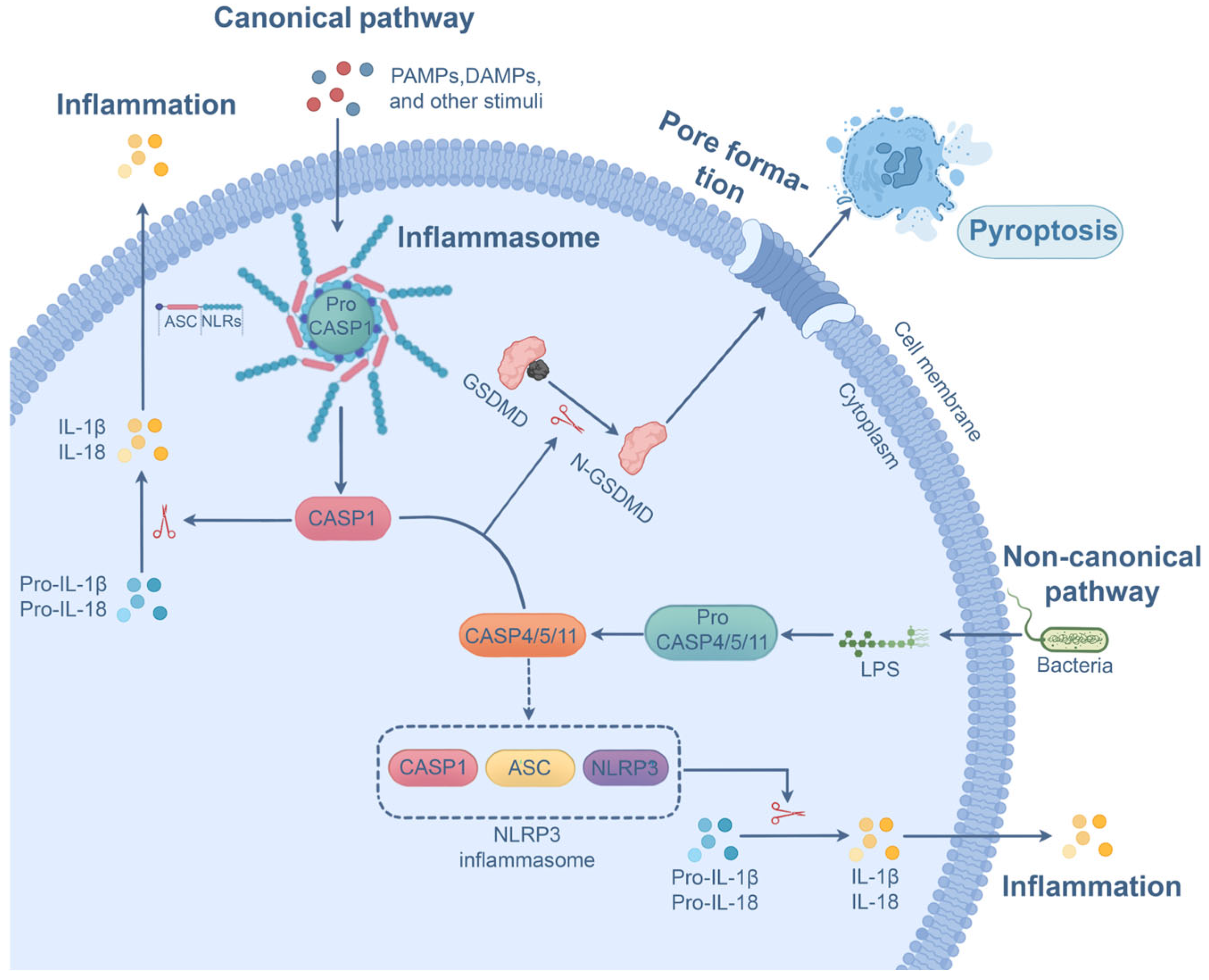 Microorganisms 13 02560 g004