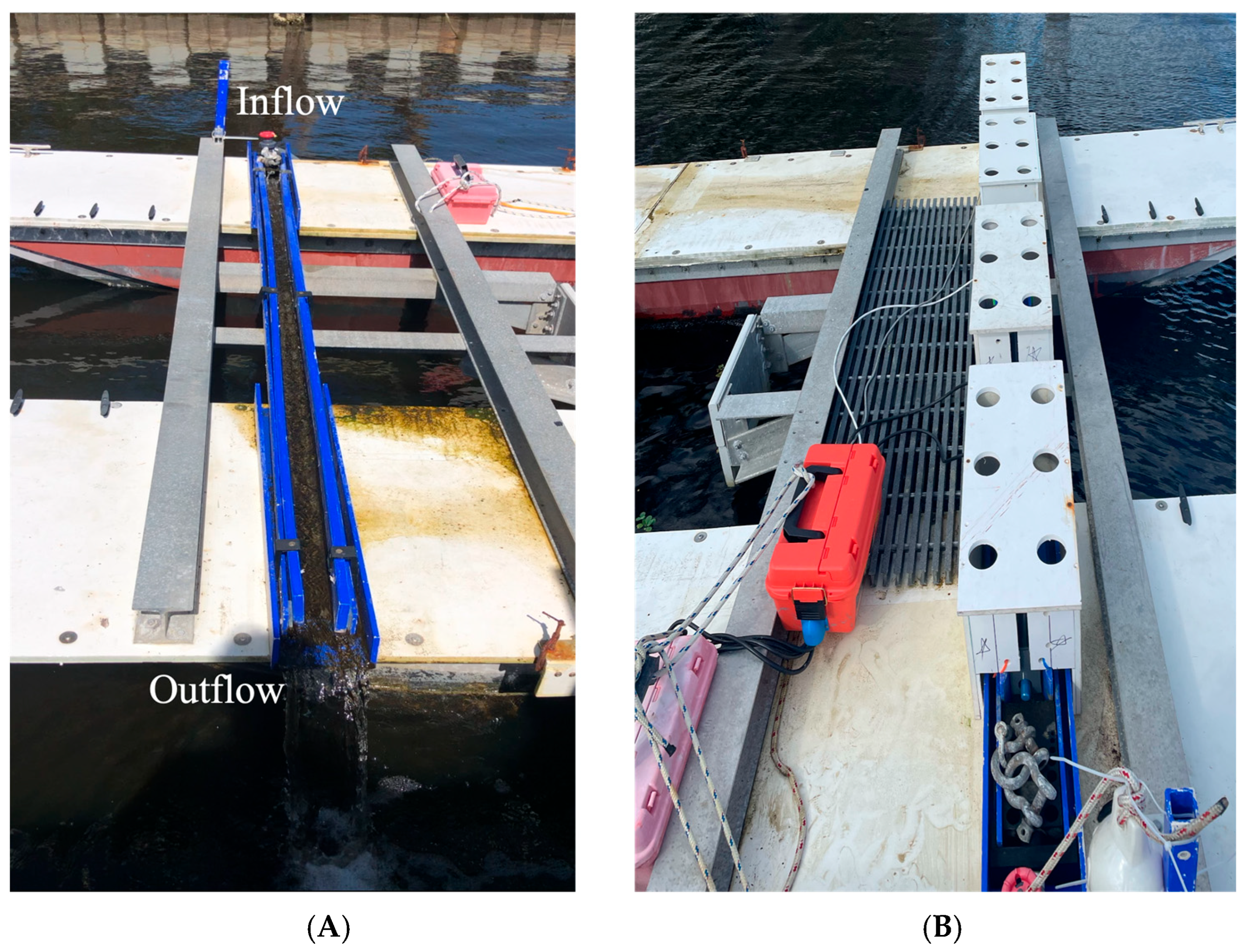 Microorganisms 13 02561 g001