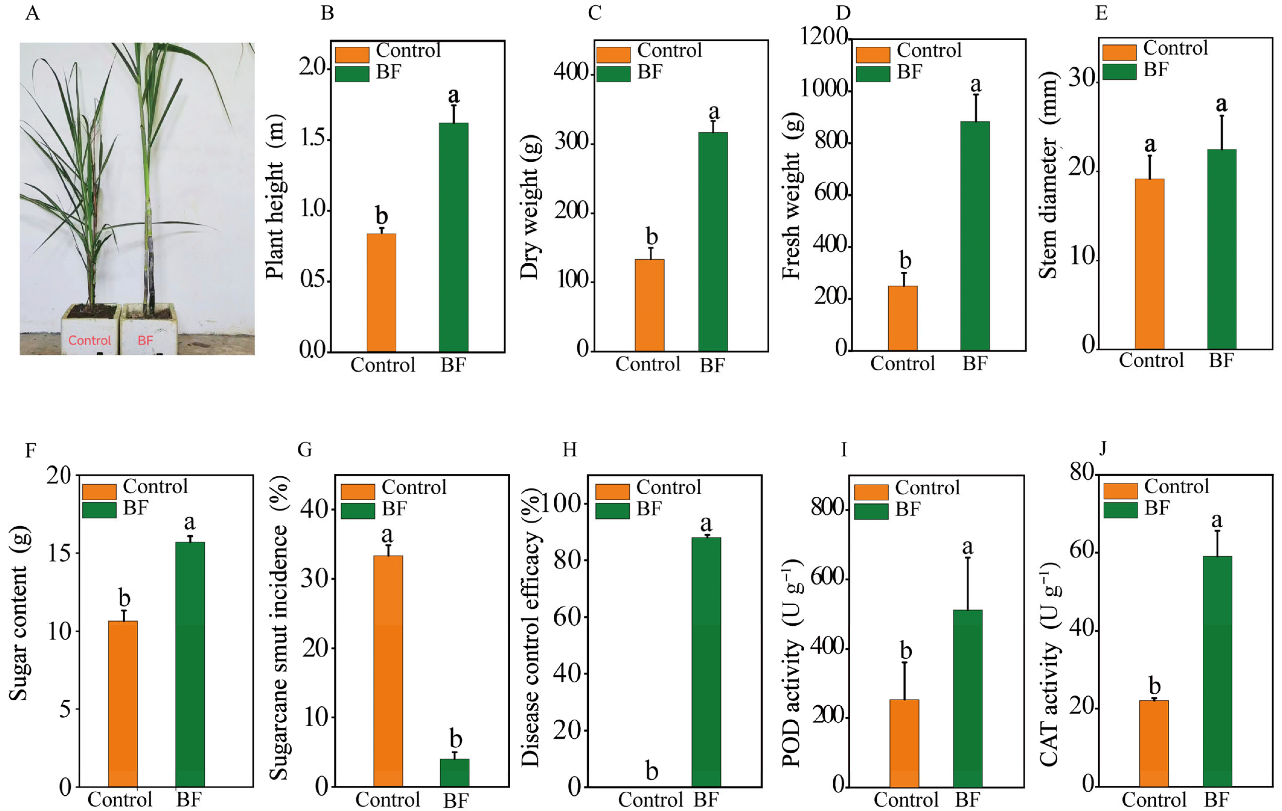 Microorganisms 13 02563 g001