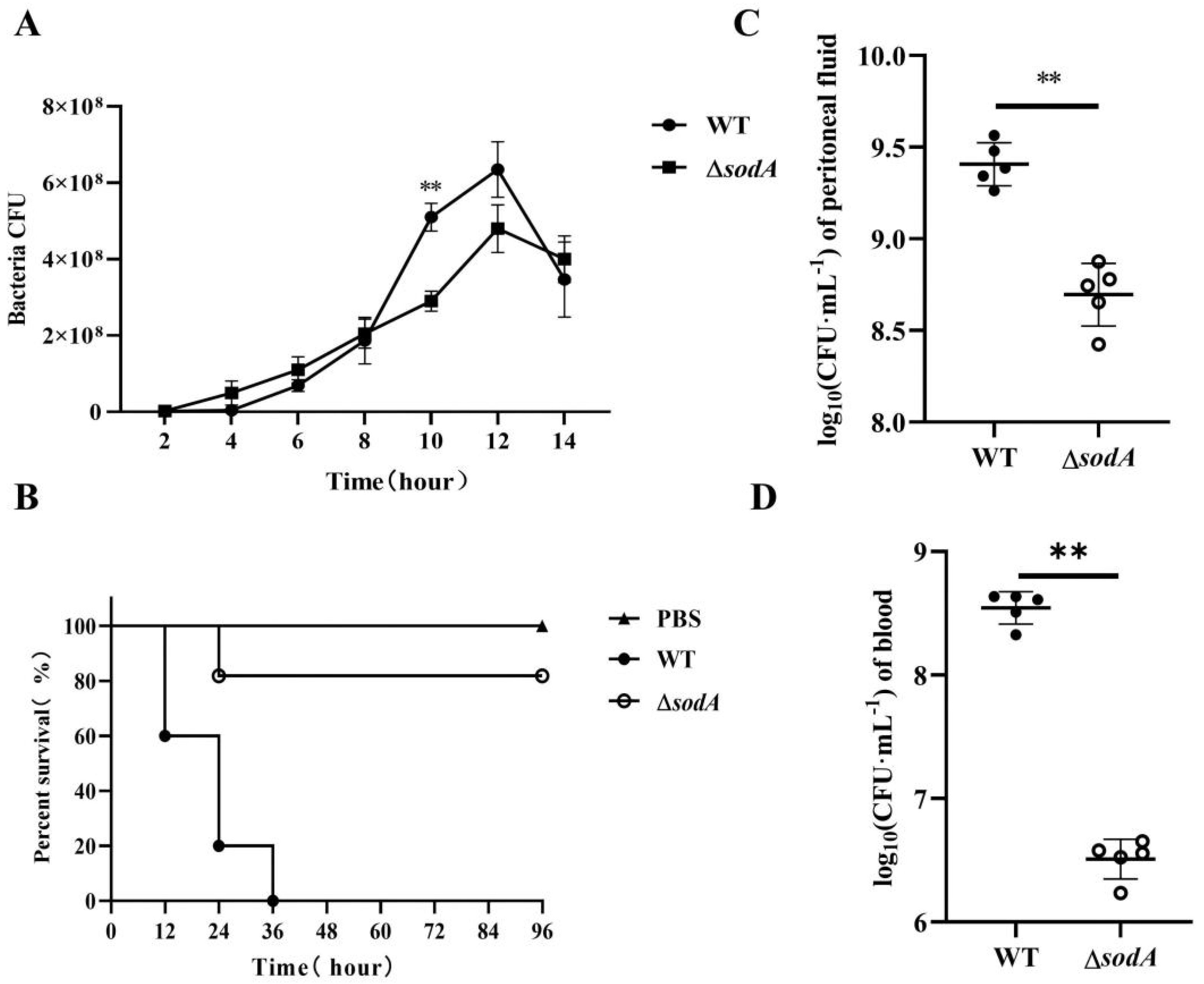 Microorganisms 13 02566 g001