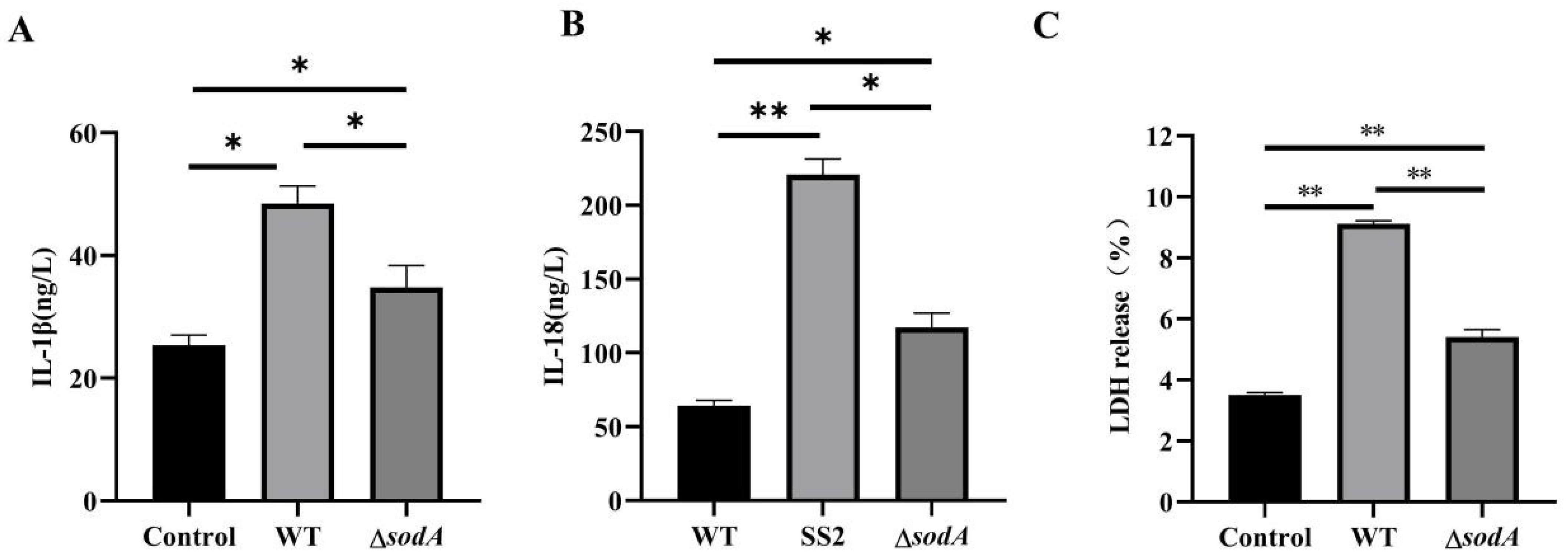 Microorganisms 13 02566 g007