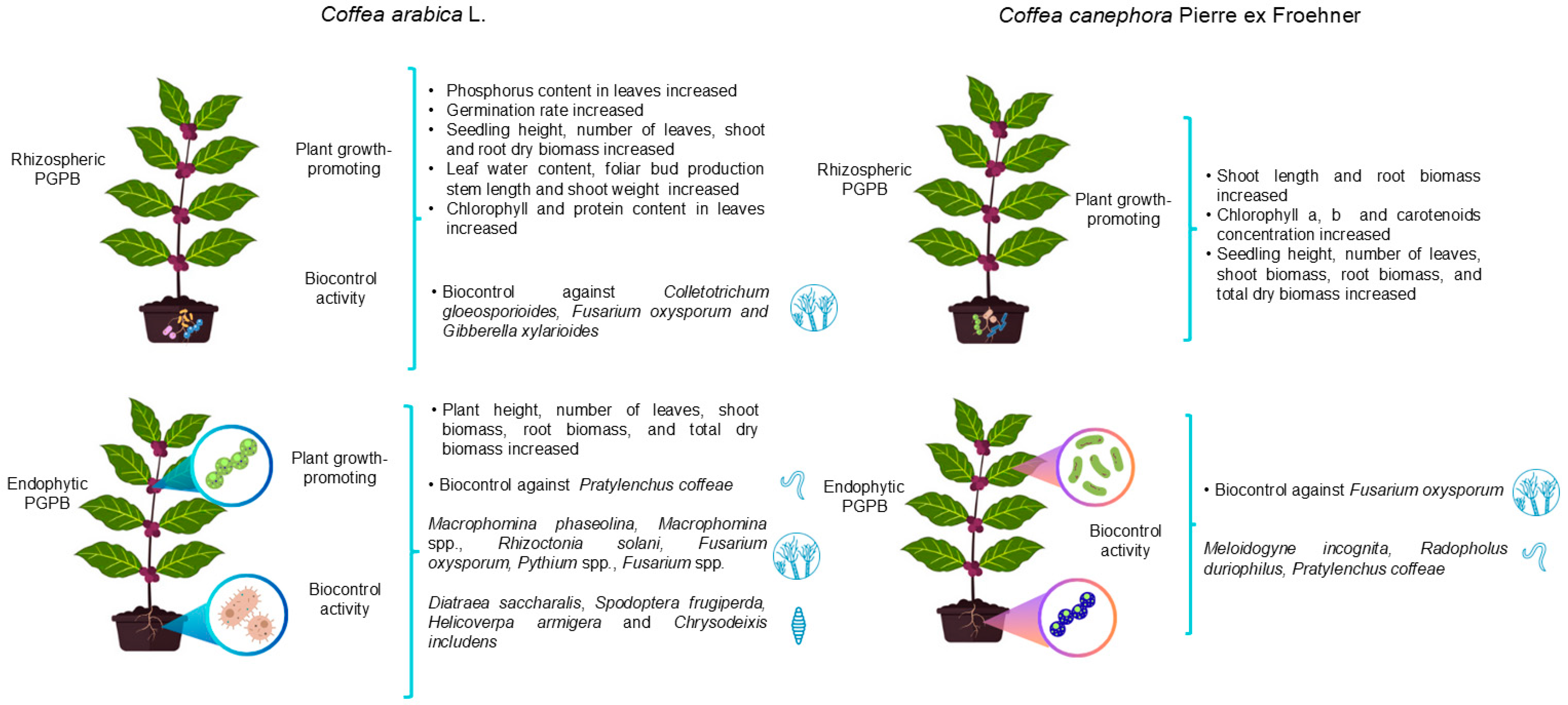 Microorganisms 13 02567 g001