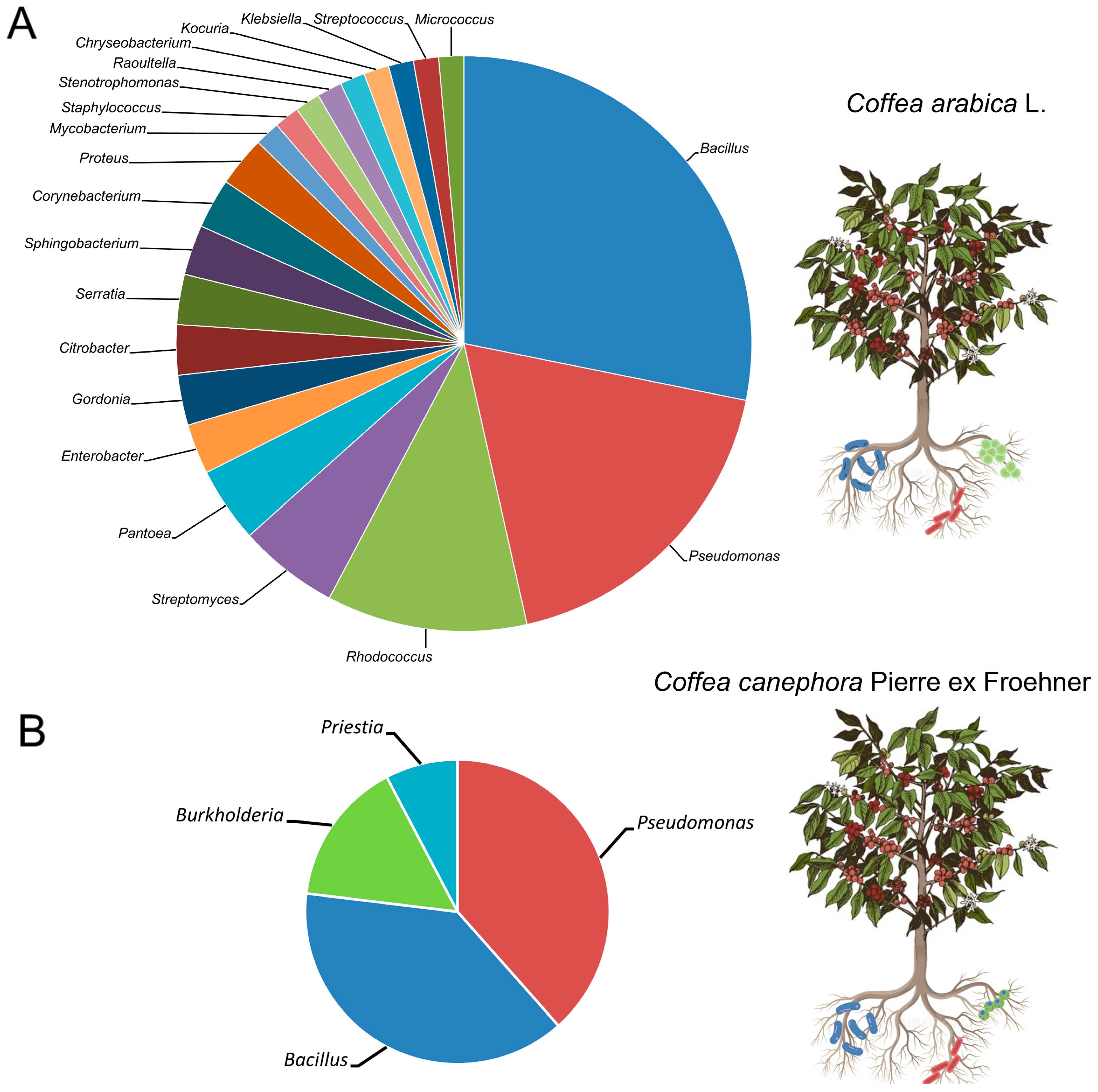 Microorganisms 13 02567 g002