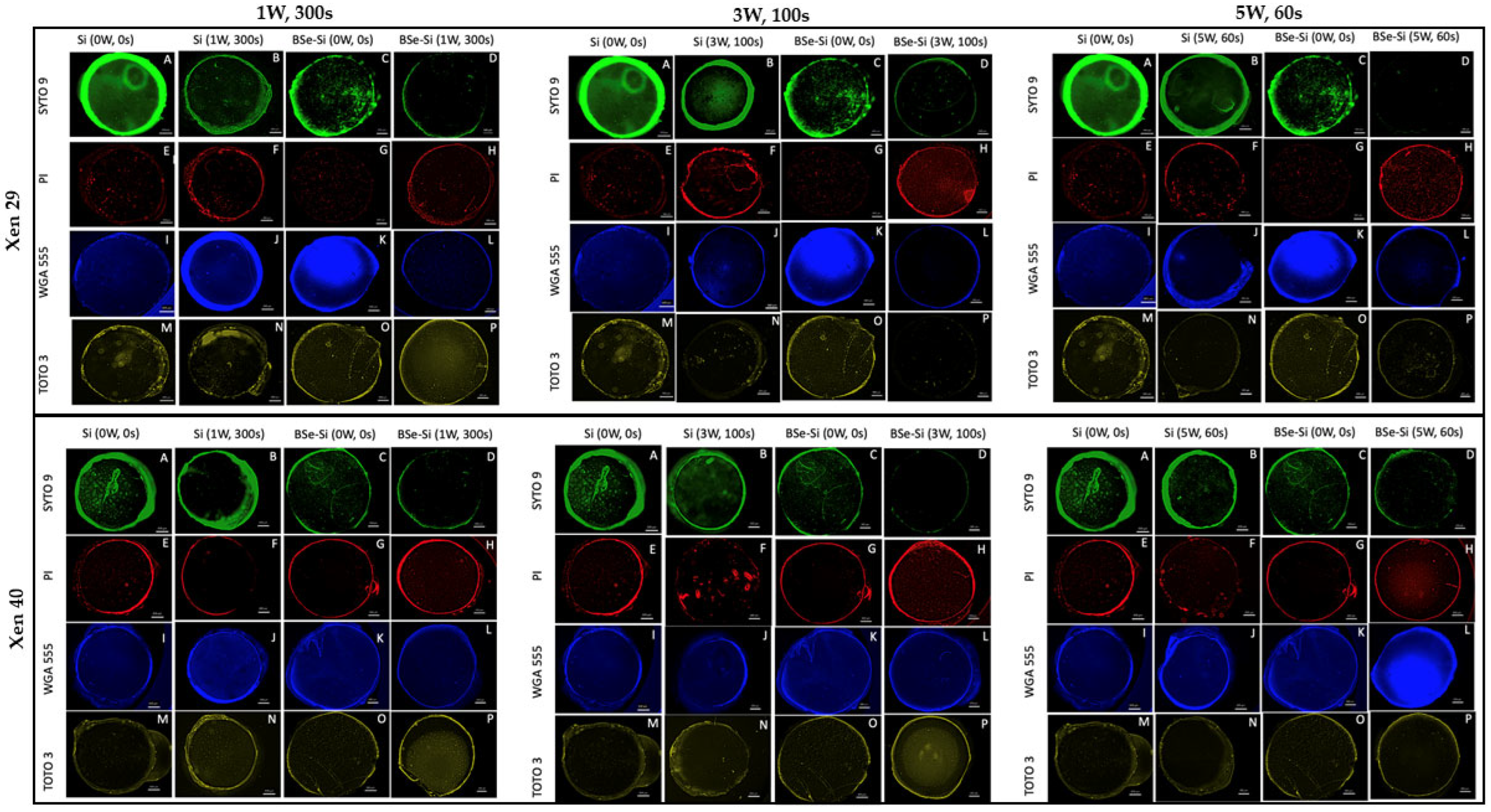 Microorganisms 13 02568 g008