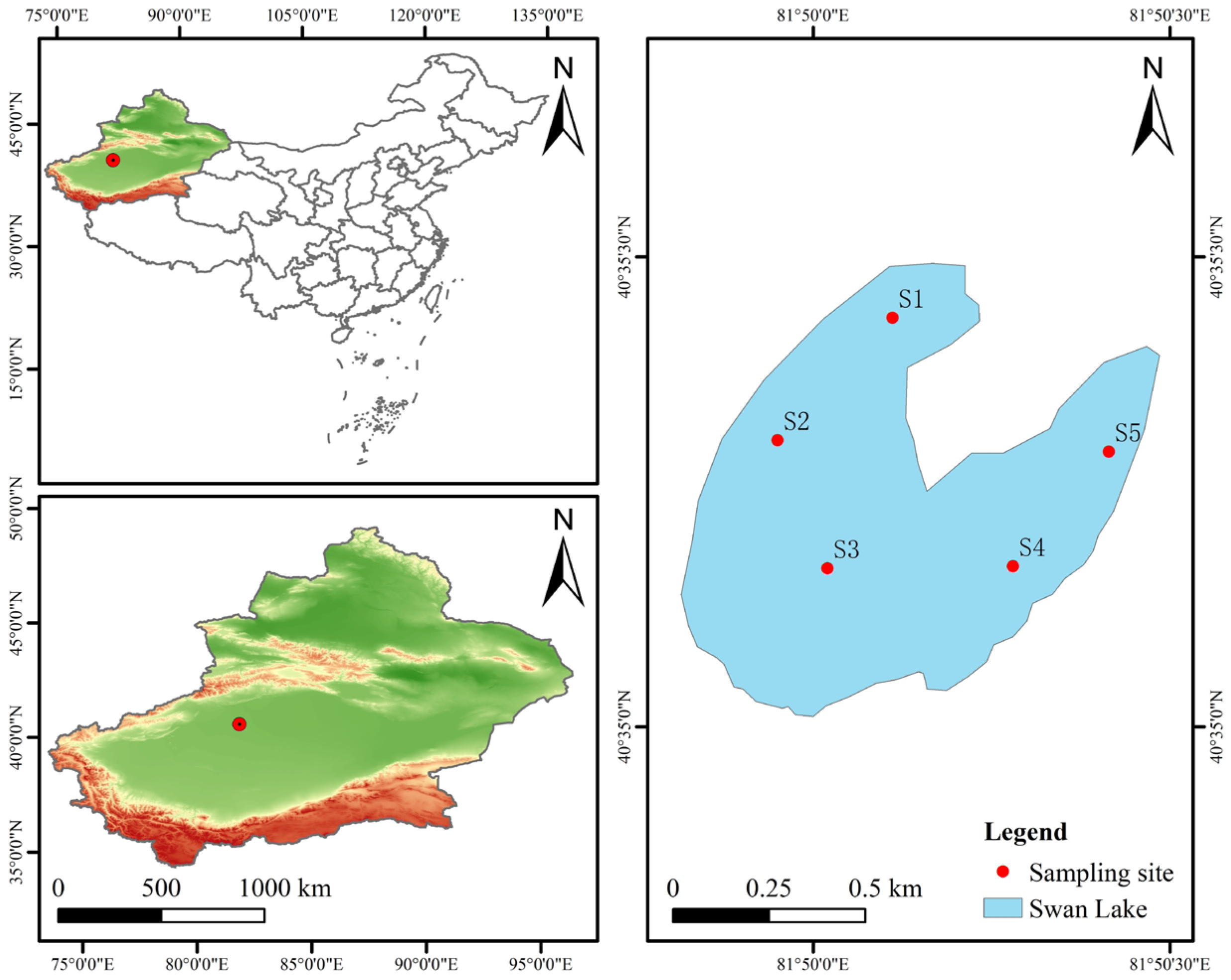 Microorganisms 13 02572 g001