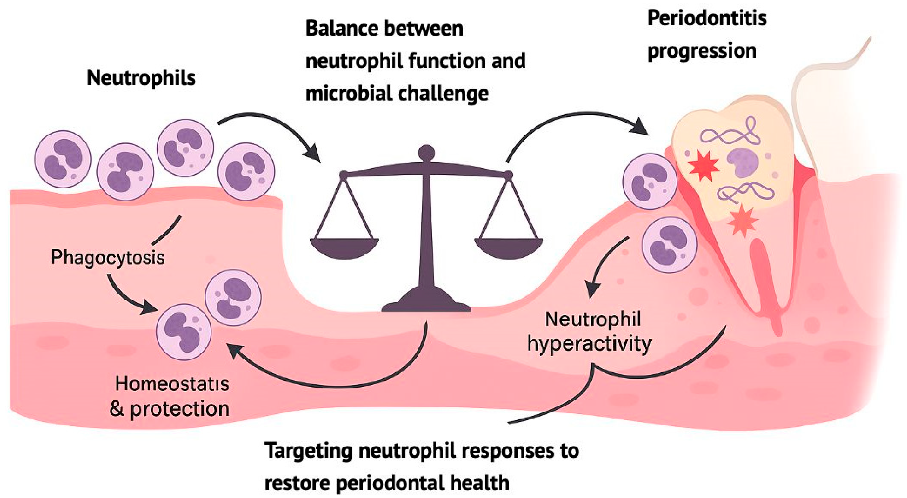Microorganisms 13 02573 g002