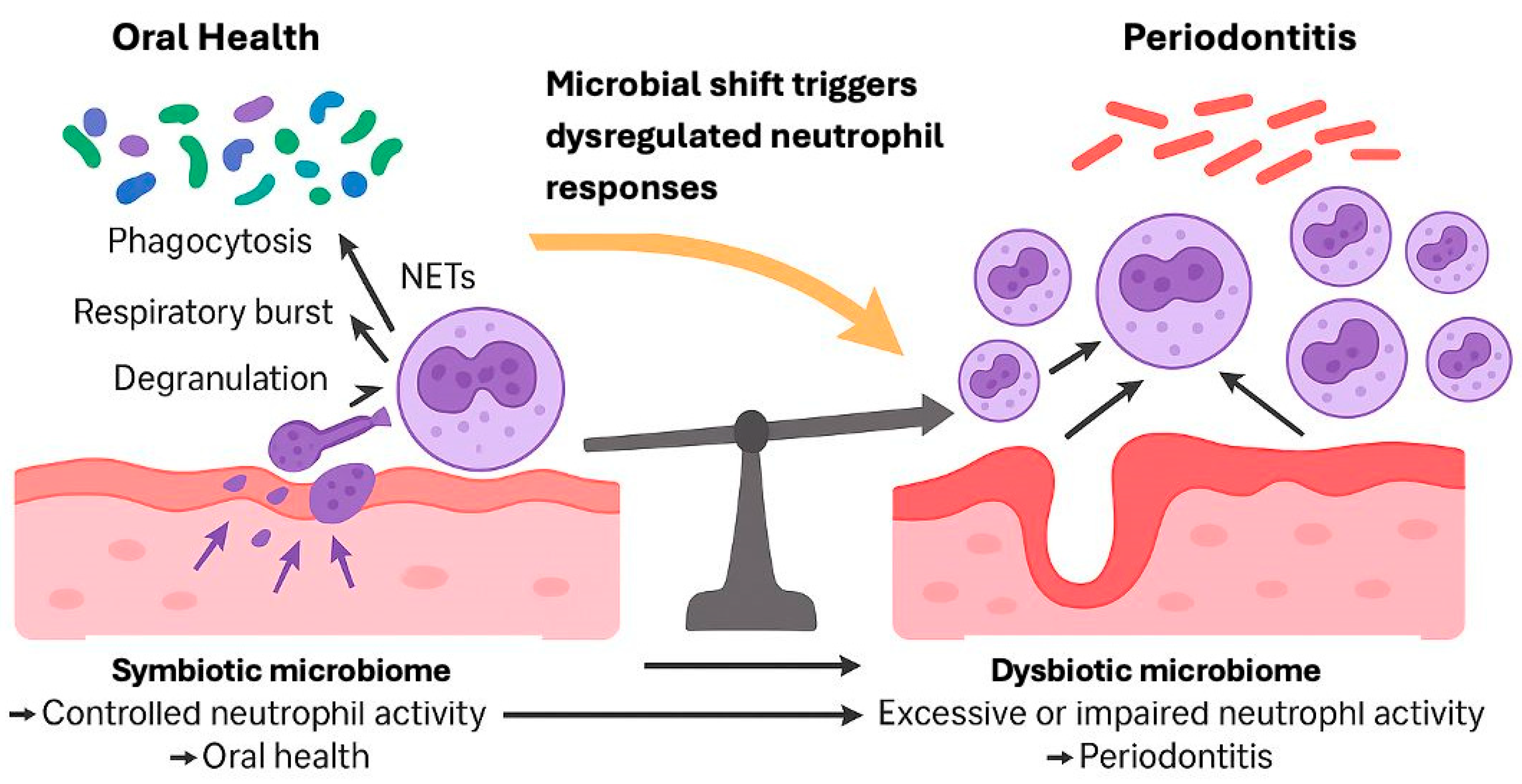 Microorganisms 13 02573 g003