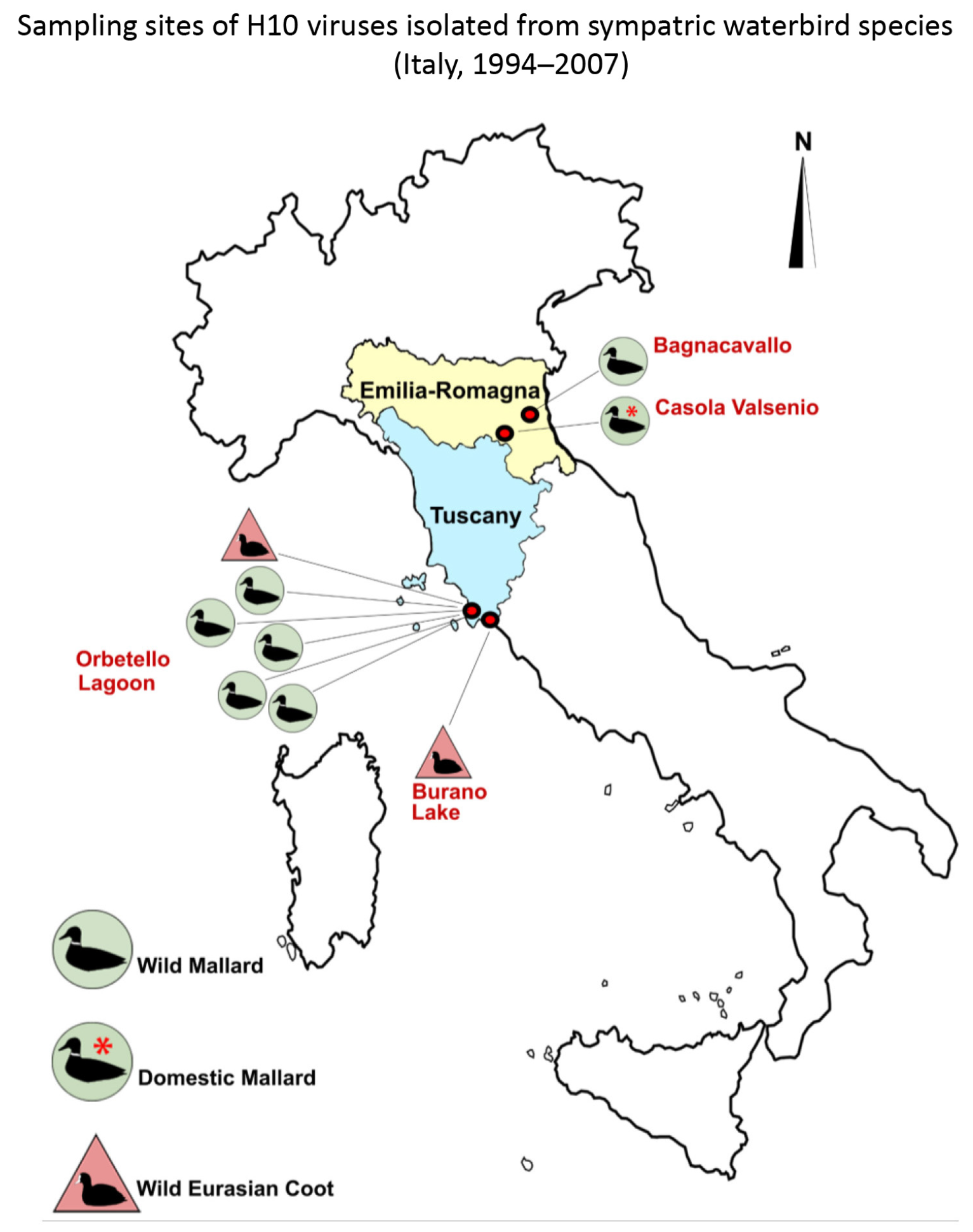 Microorganisms 13 02575 g001