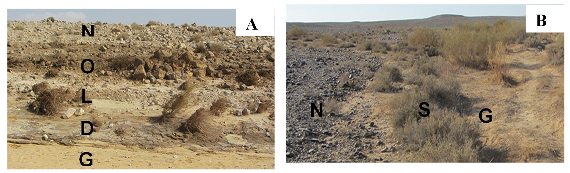 Microorganisms 13 02580 g001