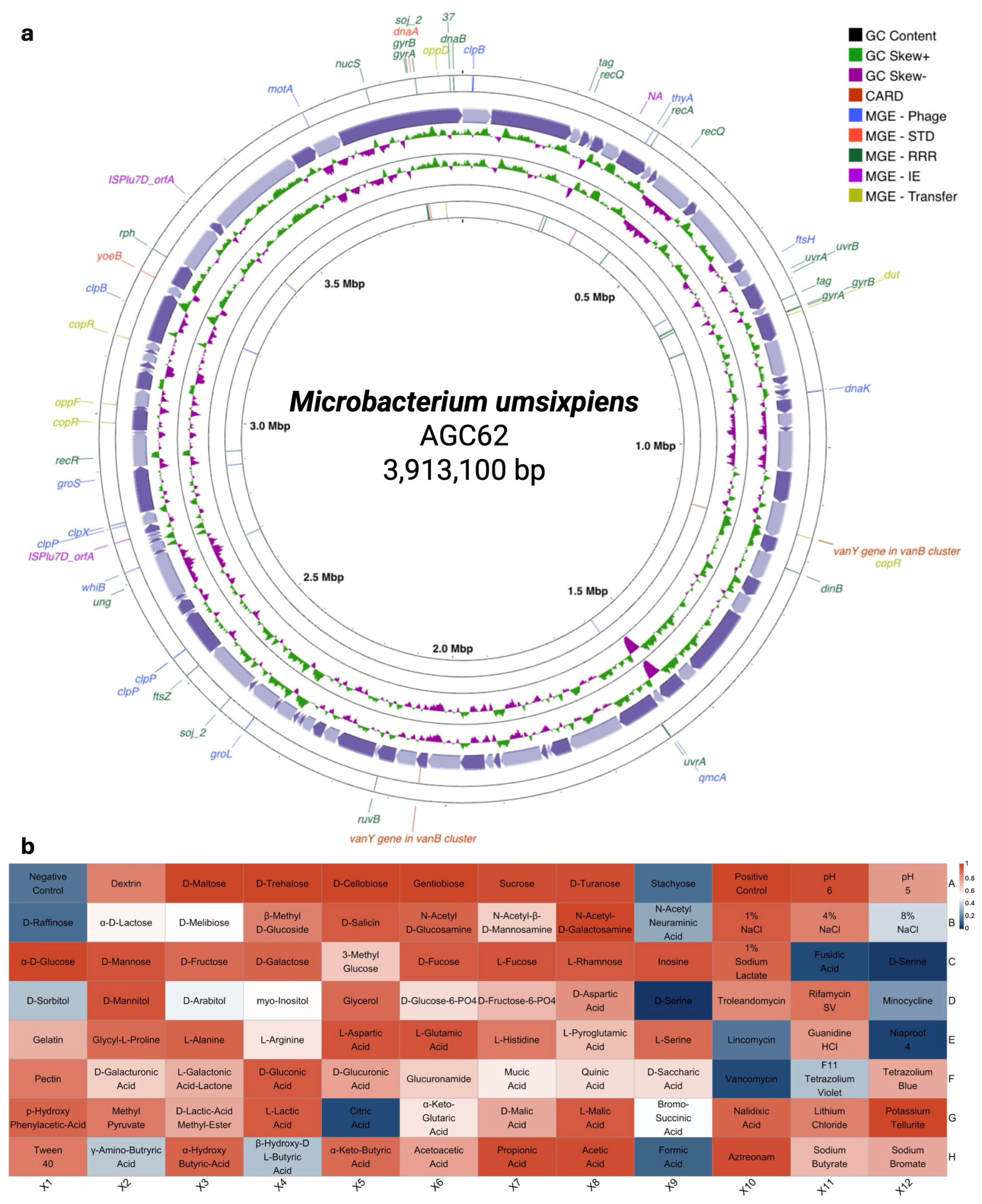 Microorganisms 13 02583 g004 Microorganisms 13 02583 g004