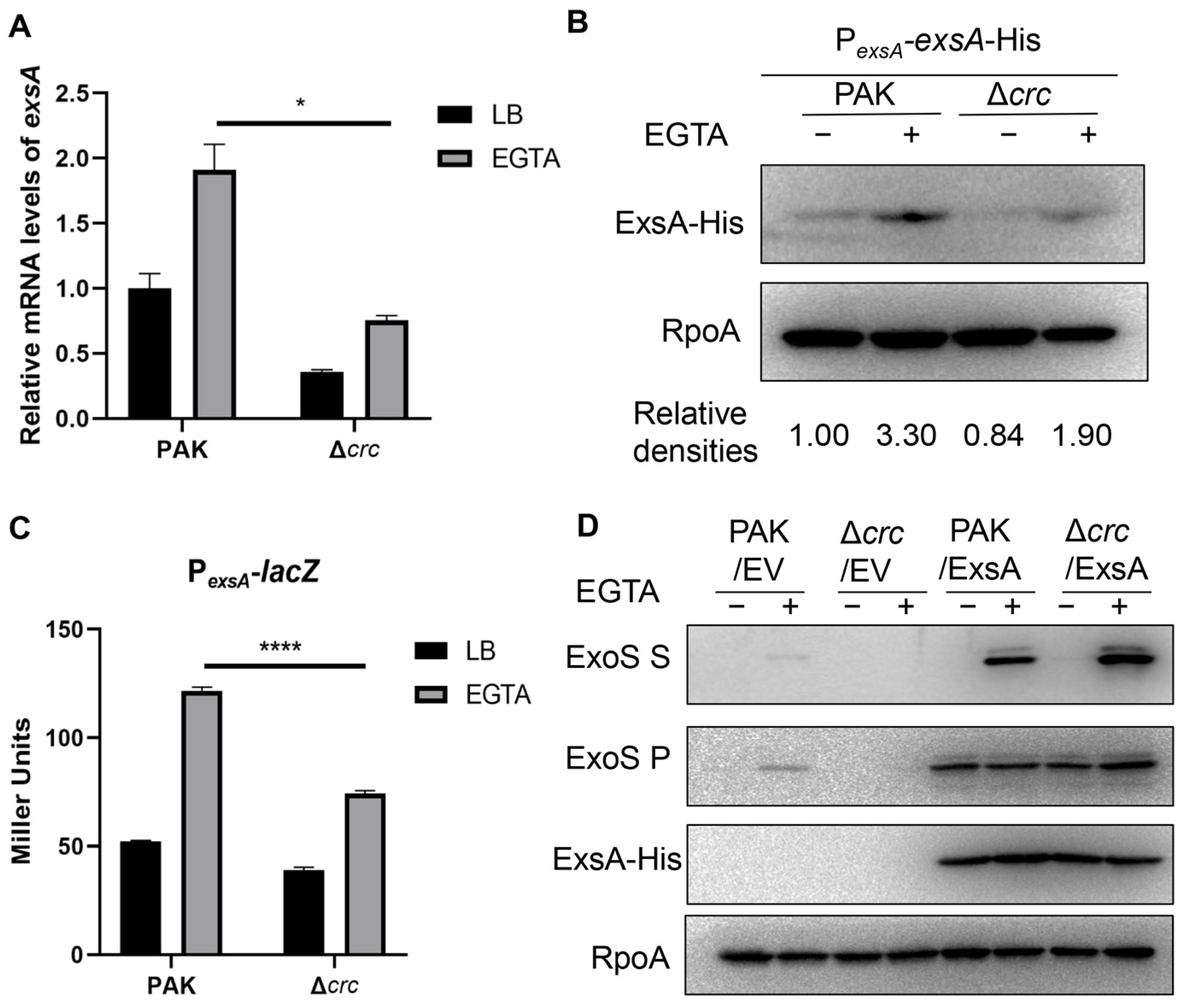 Microorganisms 13 02587 g001