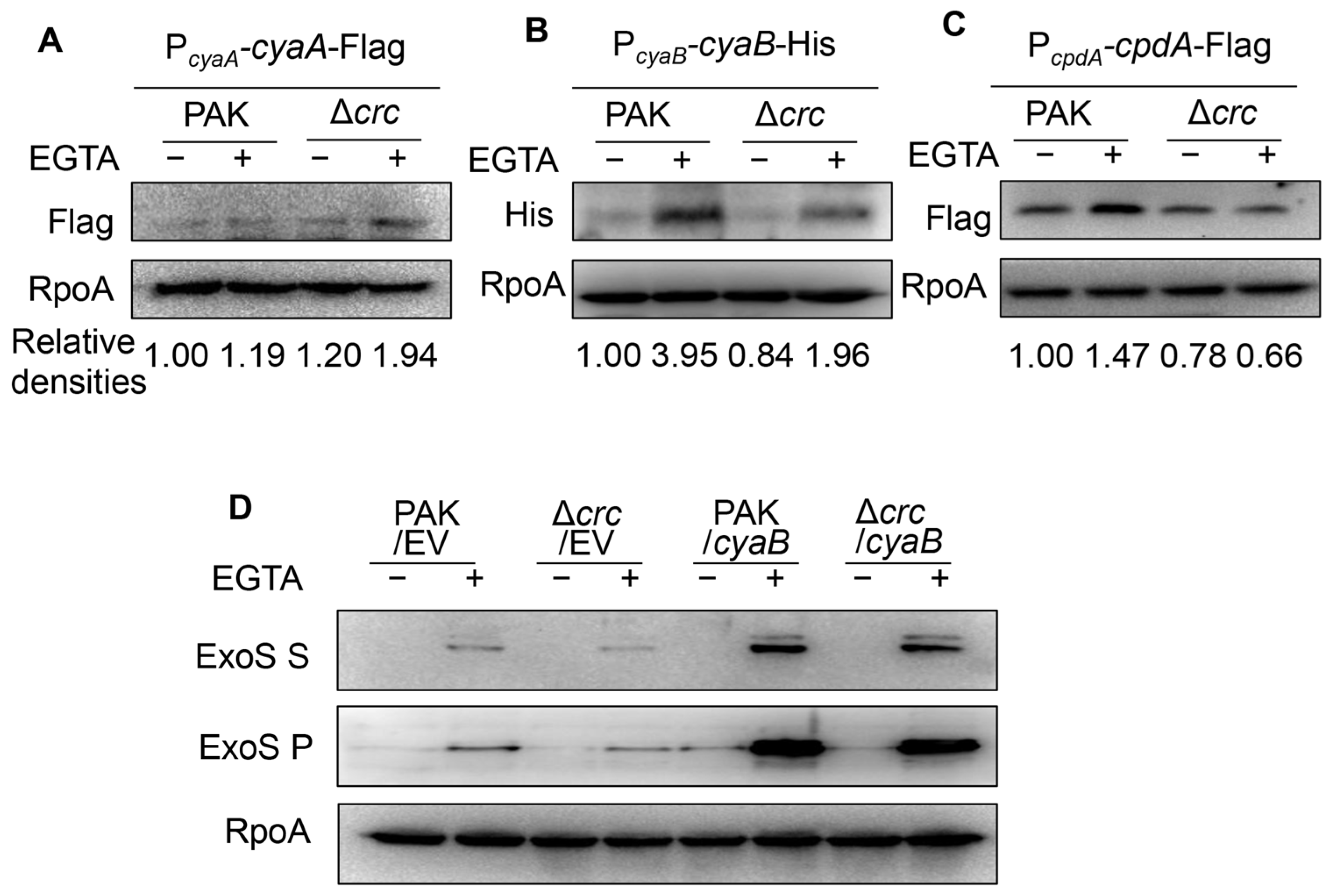 Microorganisms 13 02587 g003