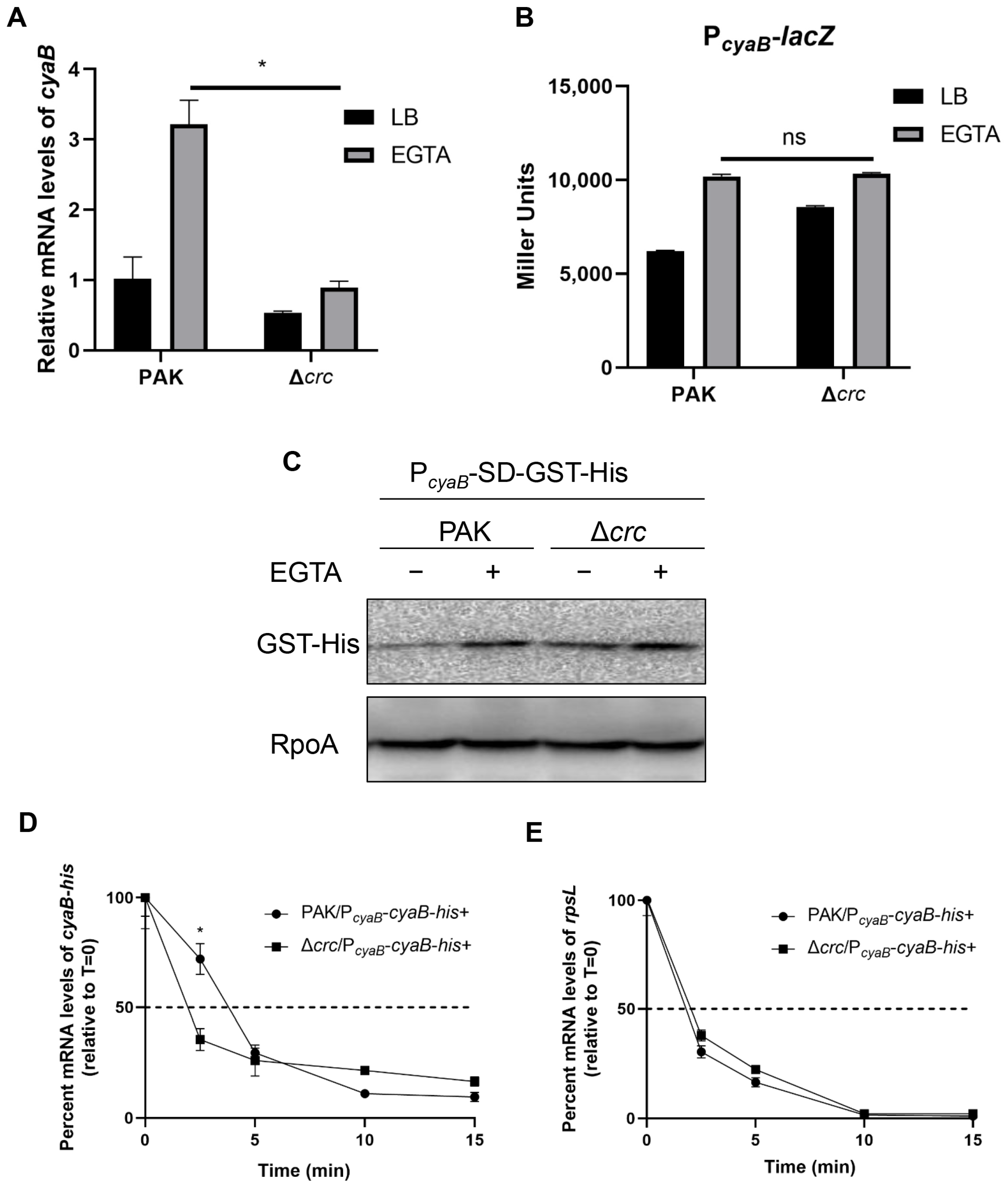 Microorganisms 13 02587 g004