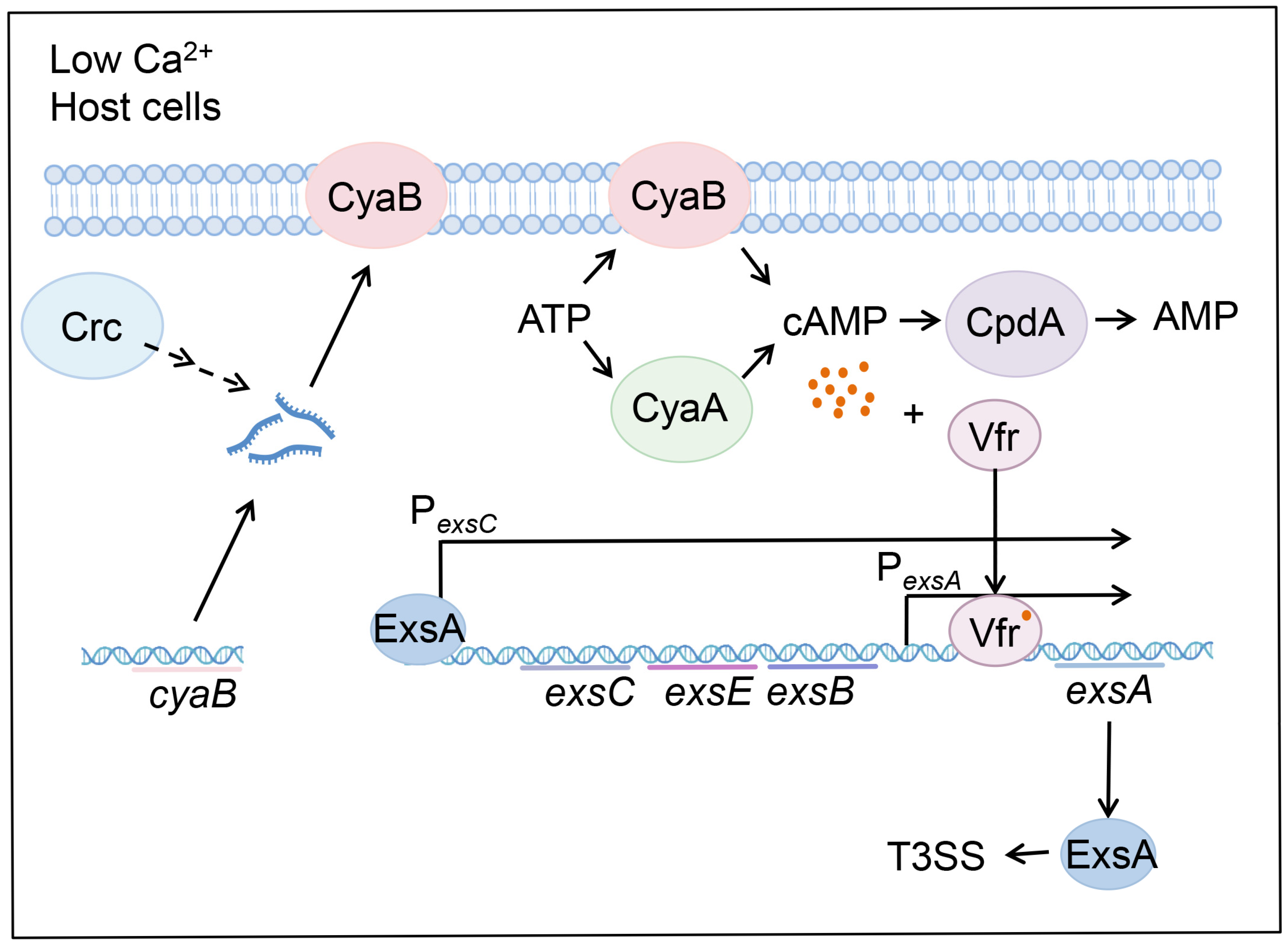 Microorganisms 13 02587 g006