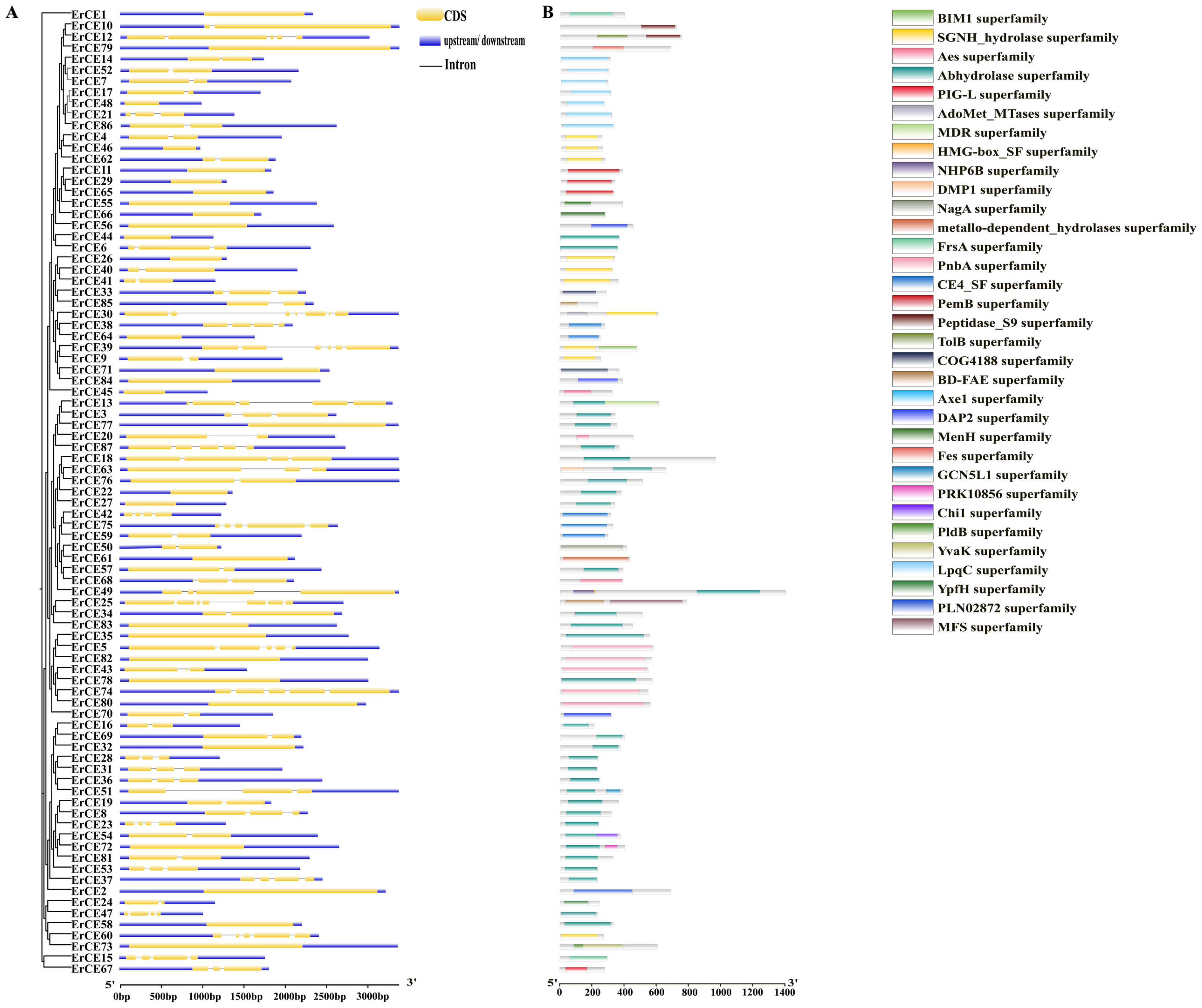 Microorganisms 13 02588 g002