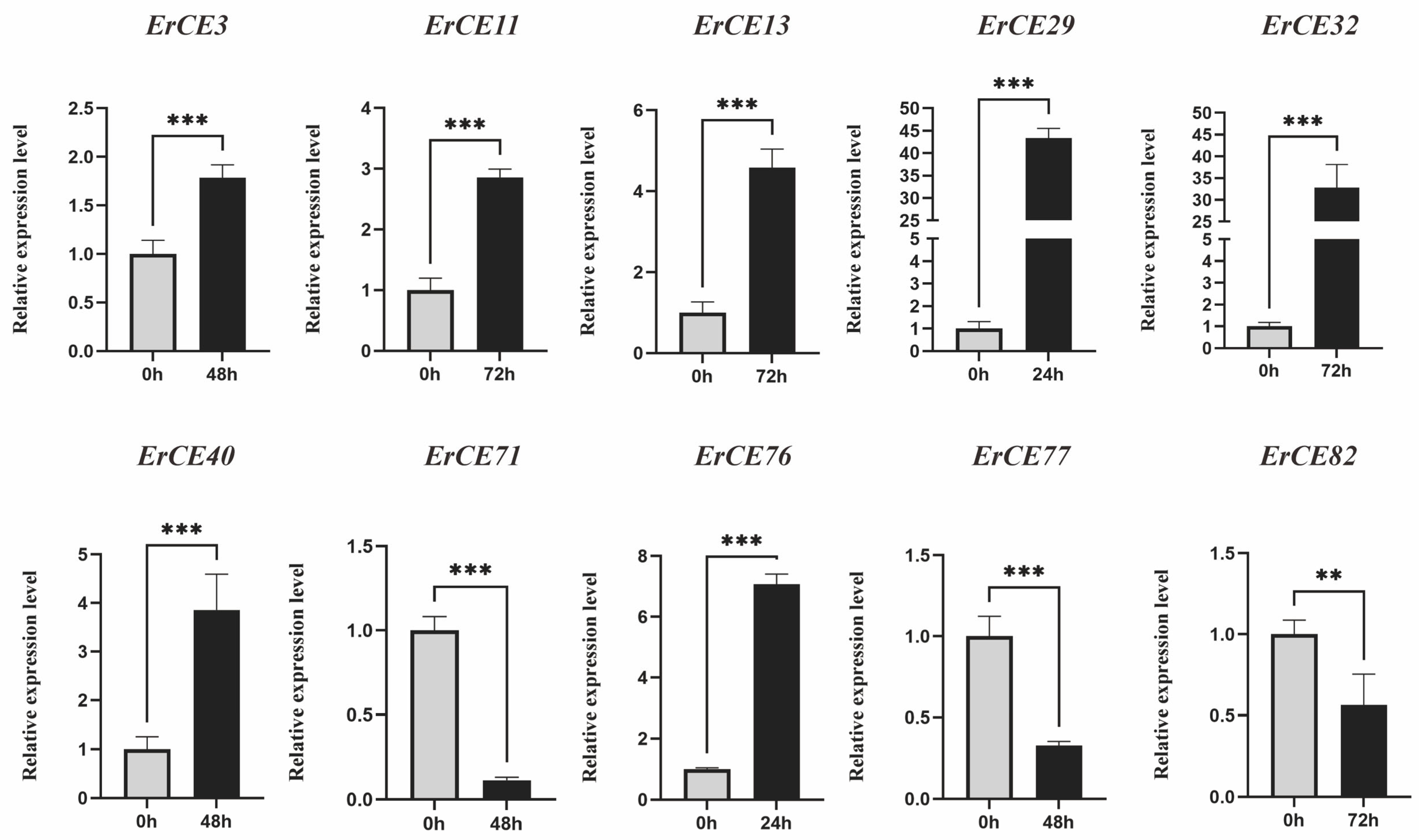 Microorganisms 13 02588 g007