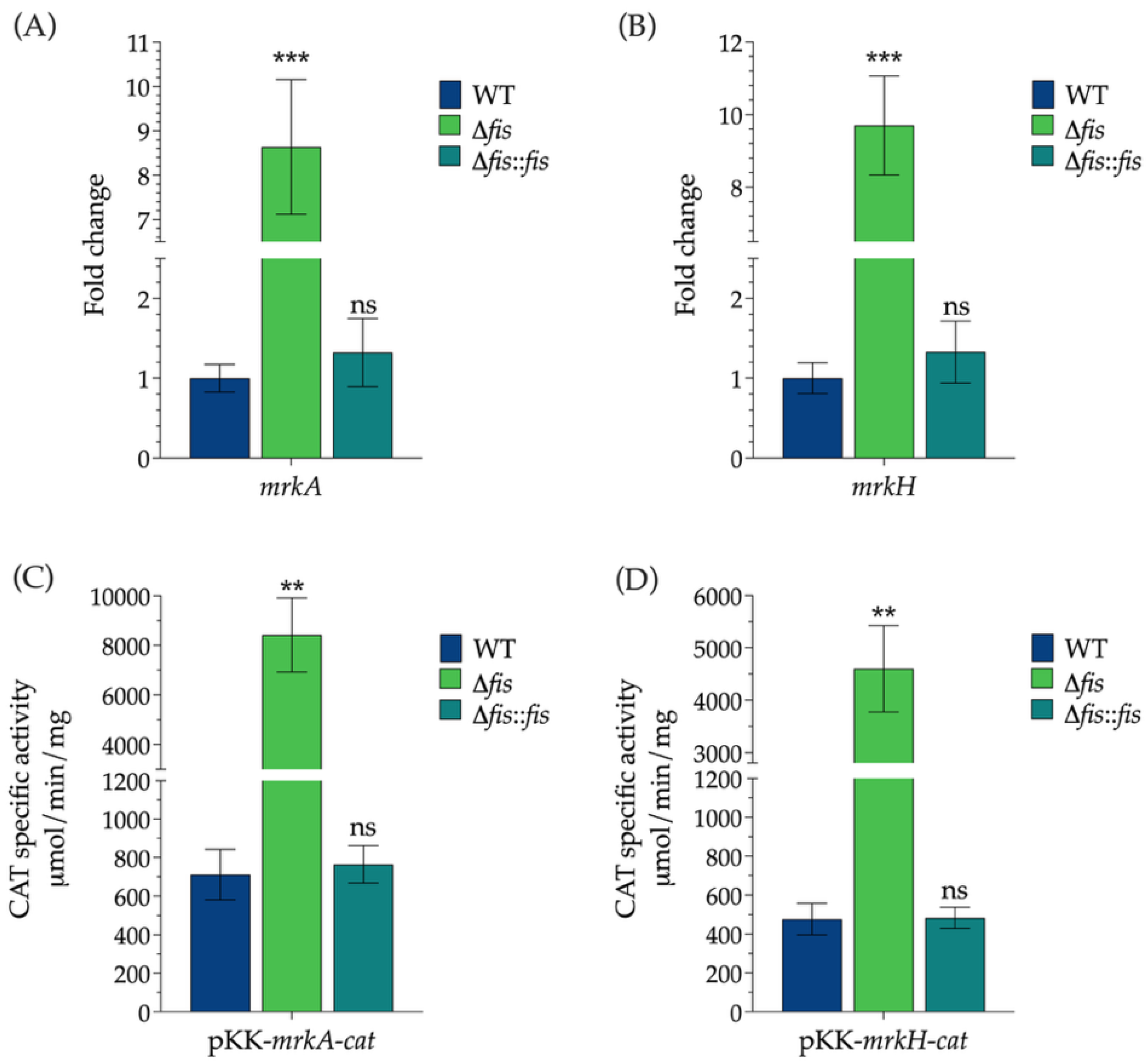 Microorganisms 13 02591 g002