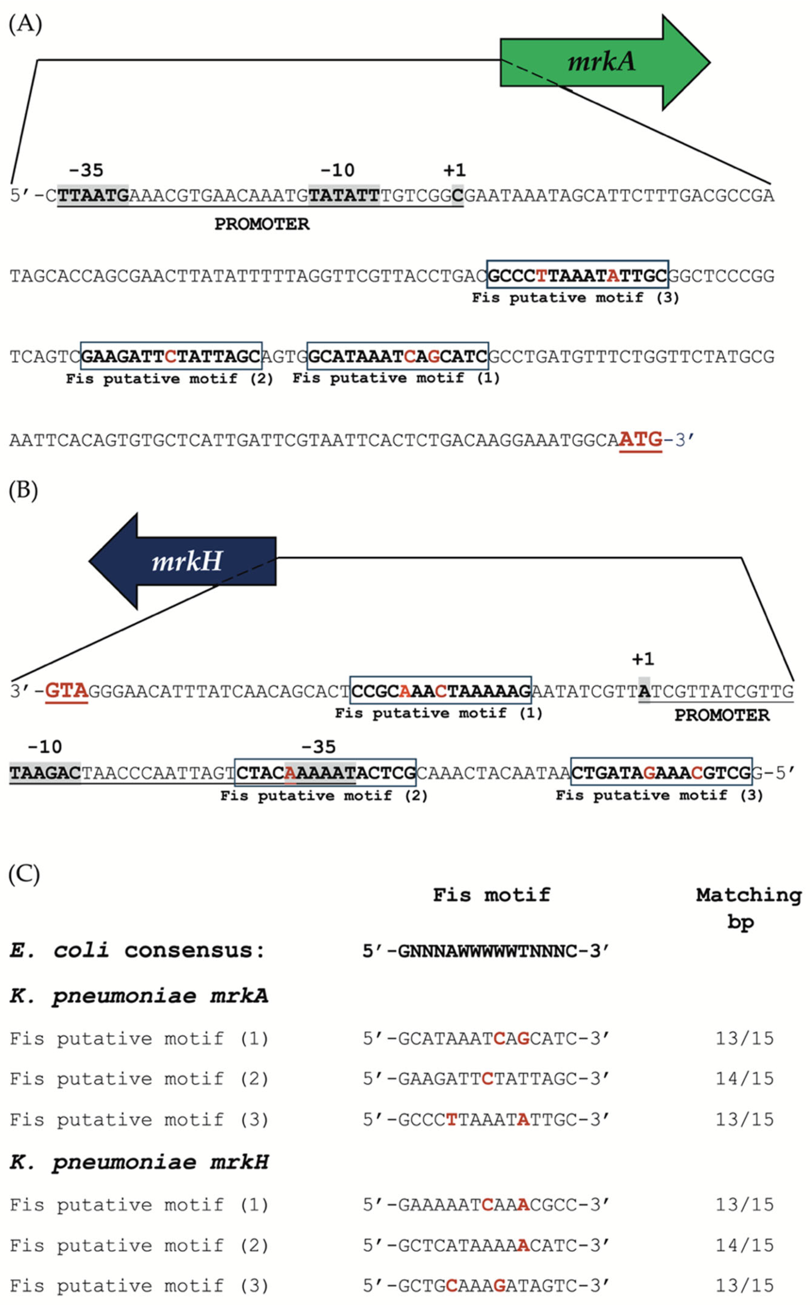 Microorganisms 13 02591 g005