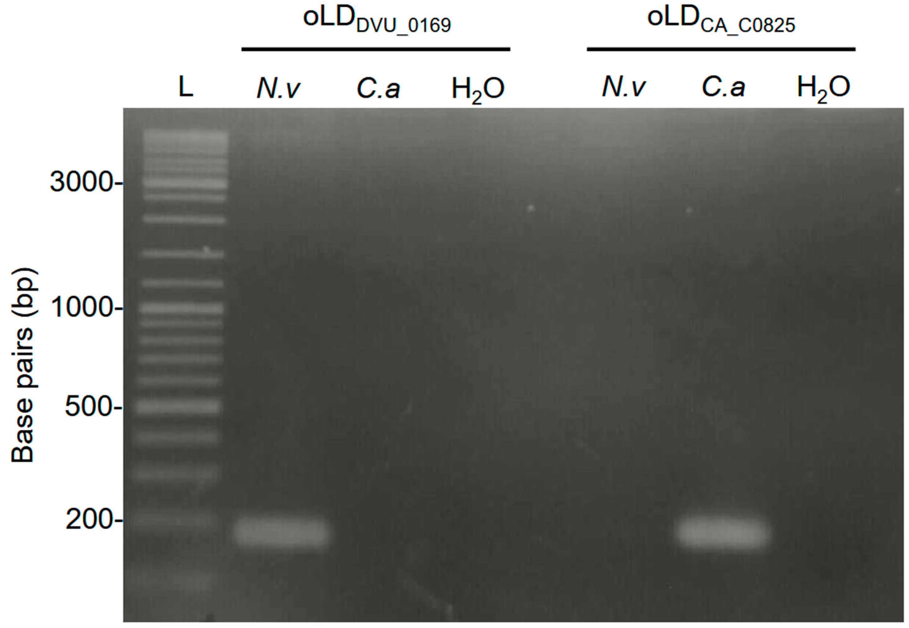 Microorganisms 13 02592 g001