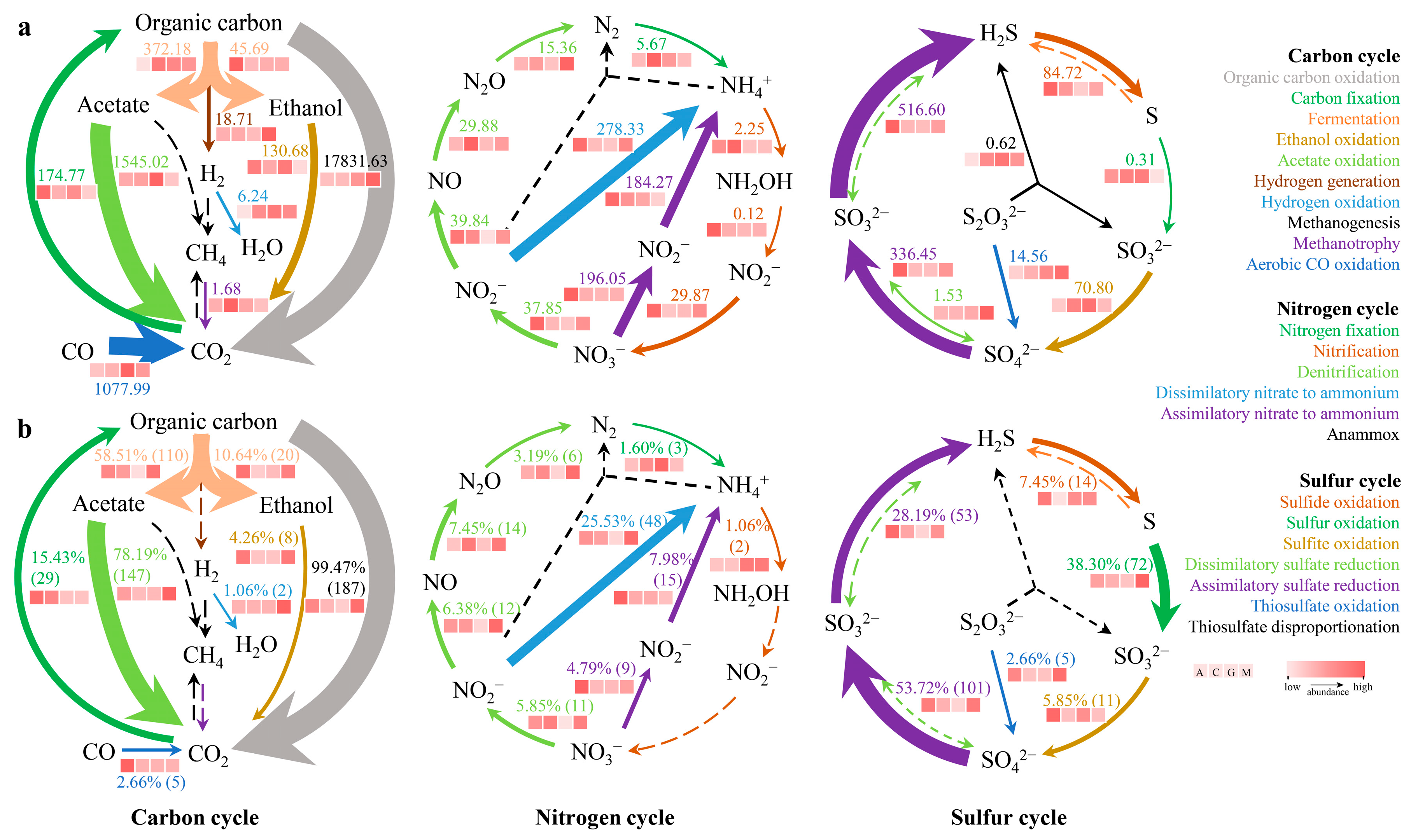 Microorganisms 13 02594 g002 Microorganisms 13 02594 g002