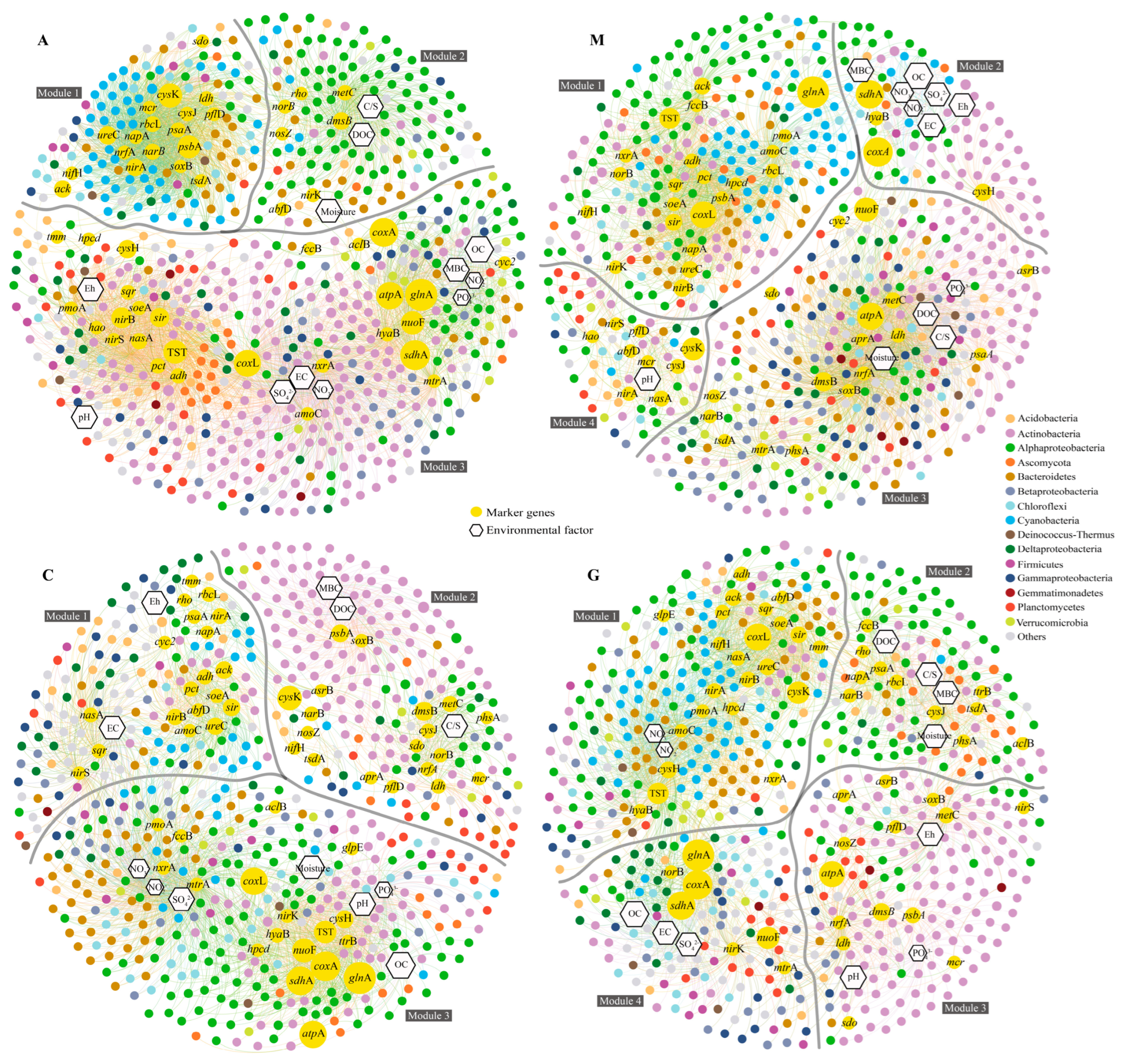 Microorganisms 13 02594 g003 Microorganisms 13 02594 g003