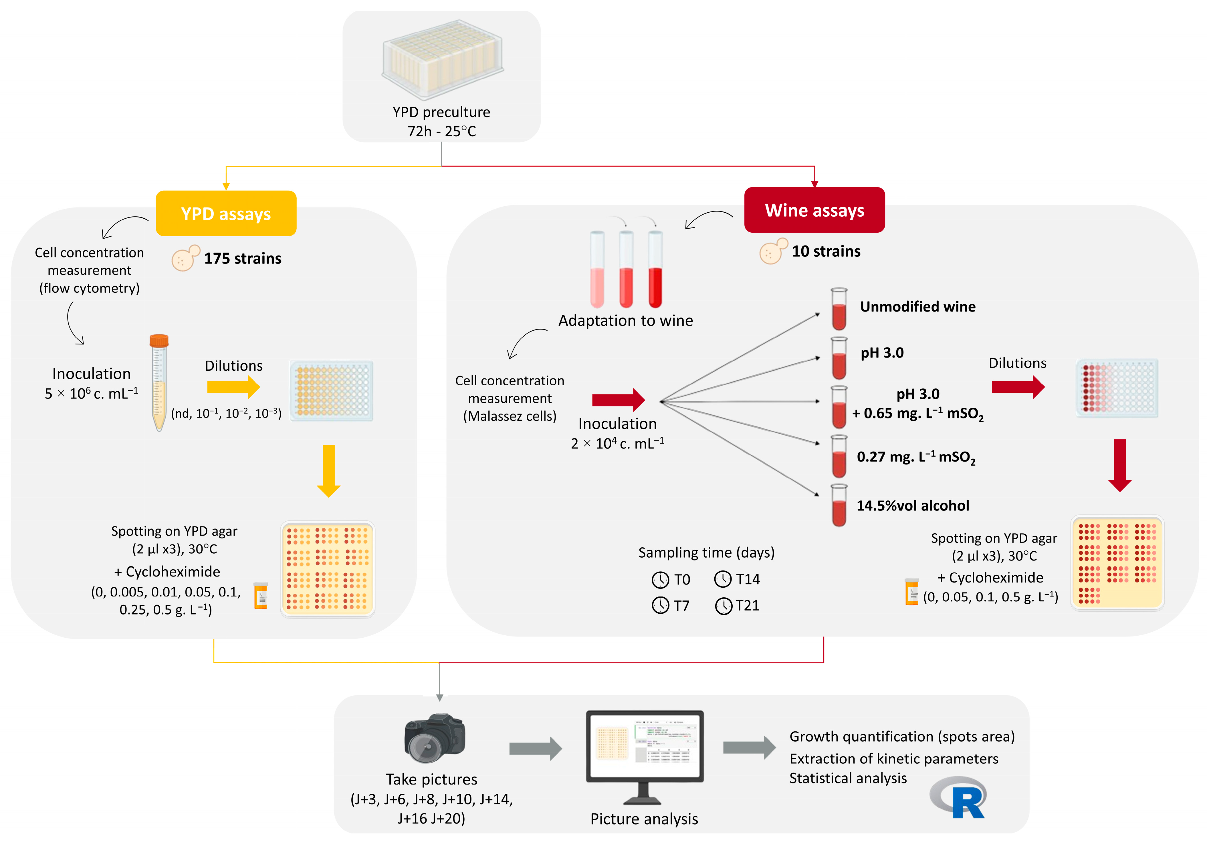 Microorganisms 13 02597 g001 Microorganisms 13 02597 g001