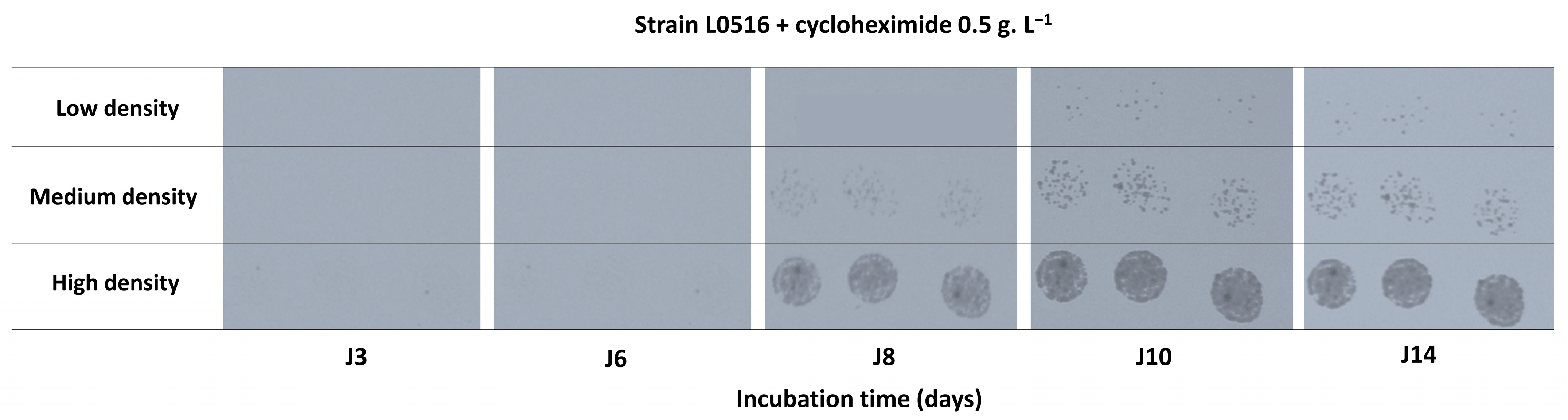 Microorganisms 13 02597 g002 Microorganisms 13 02597 g002
