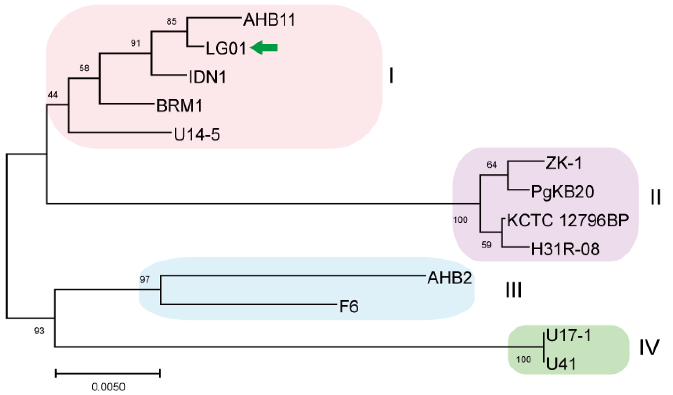 Microorganisms 13 02605 g003 Microorganisms 13 02605 g003