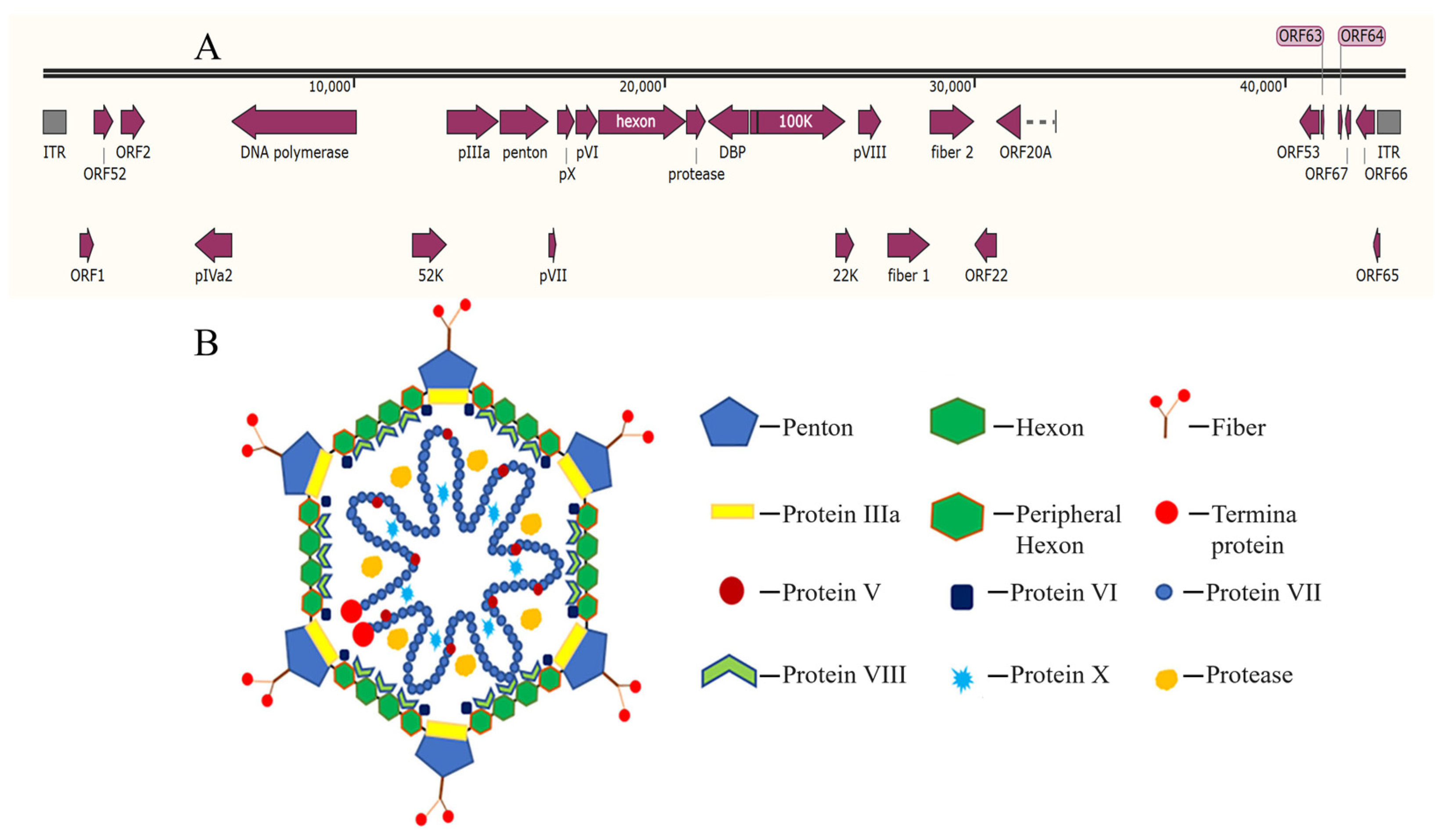 Microorganisms 13 02607 g001