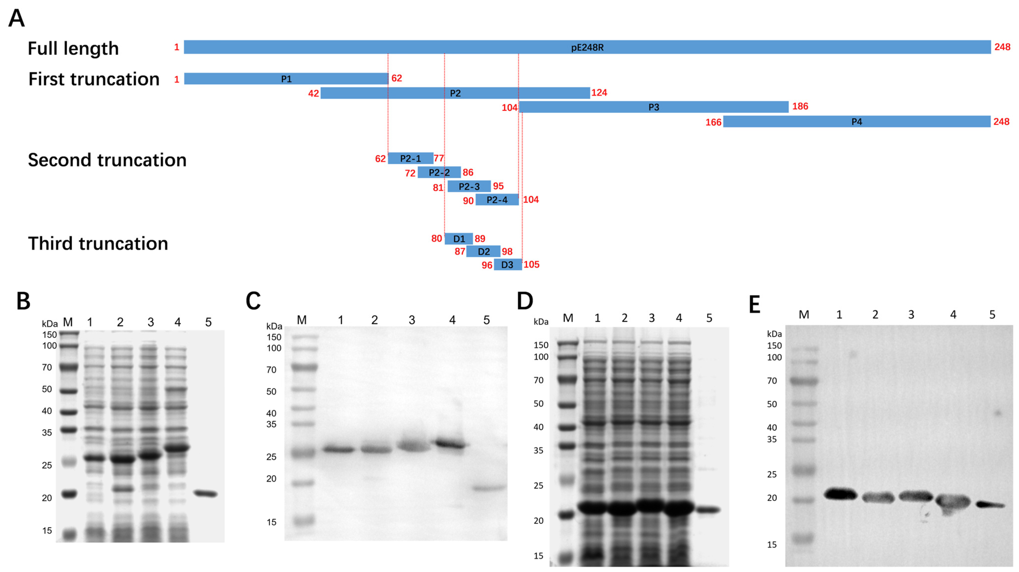 Microorganisms 13 02616 g004