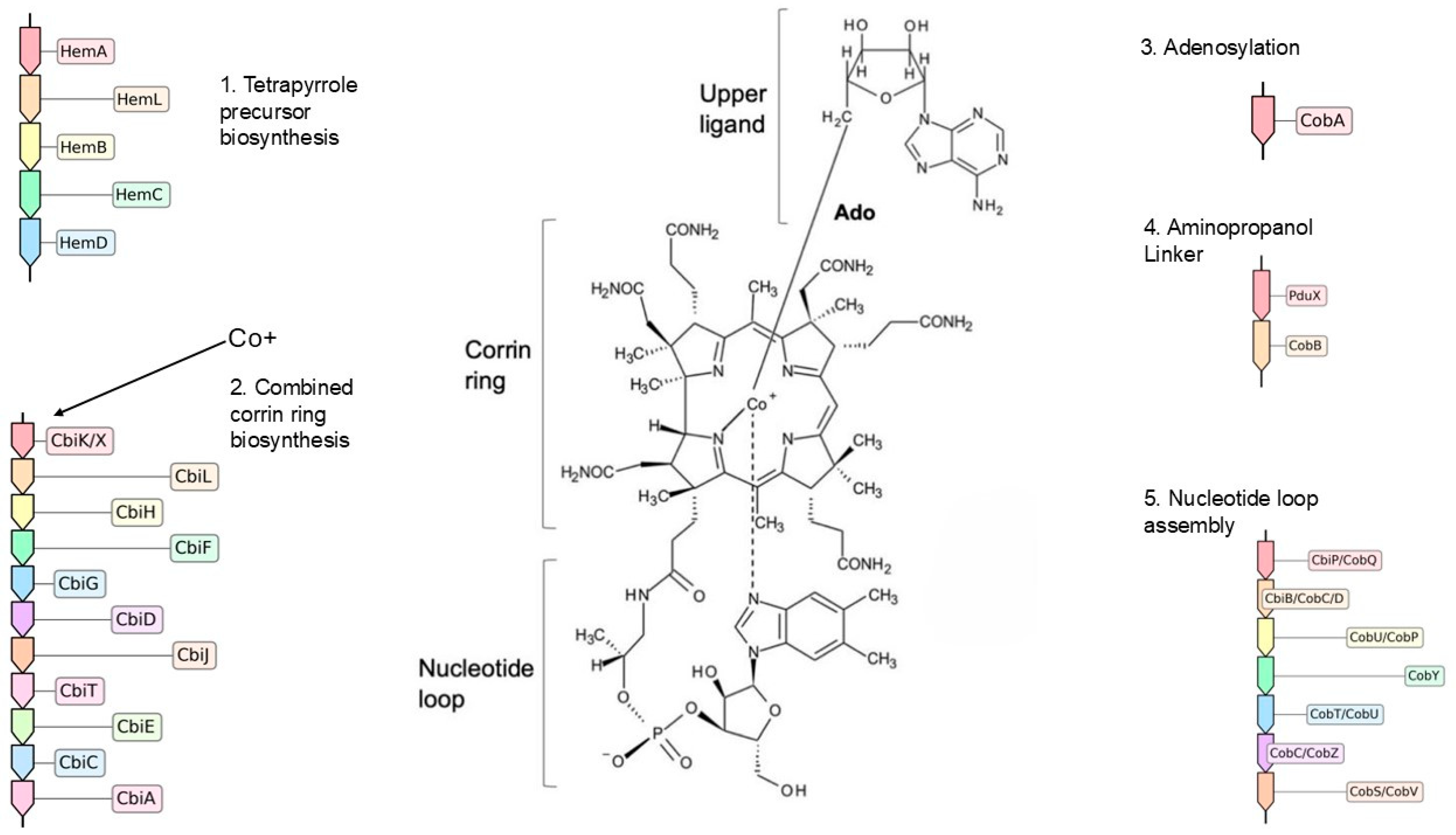Microorganisms 13 02617 g003