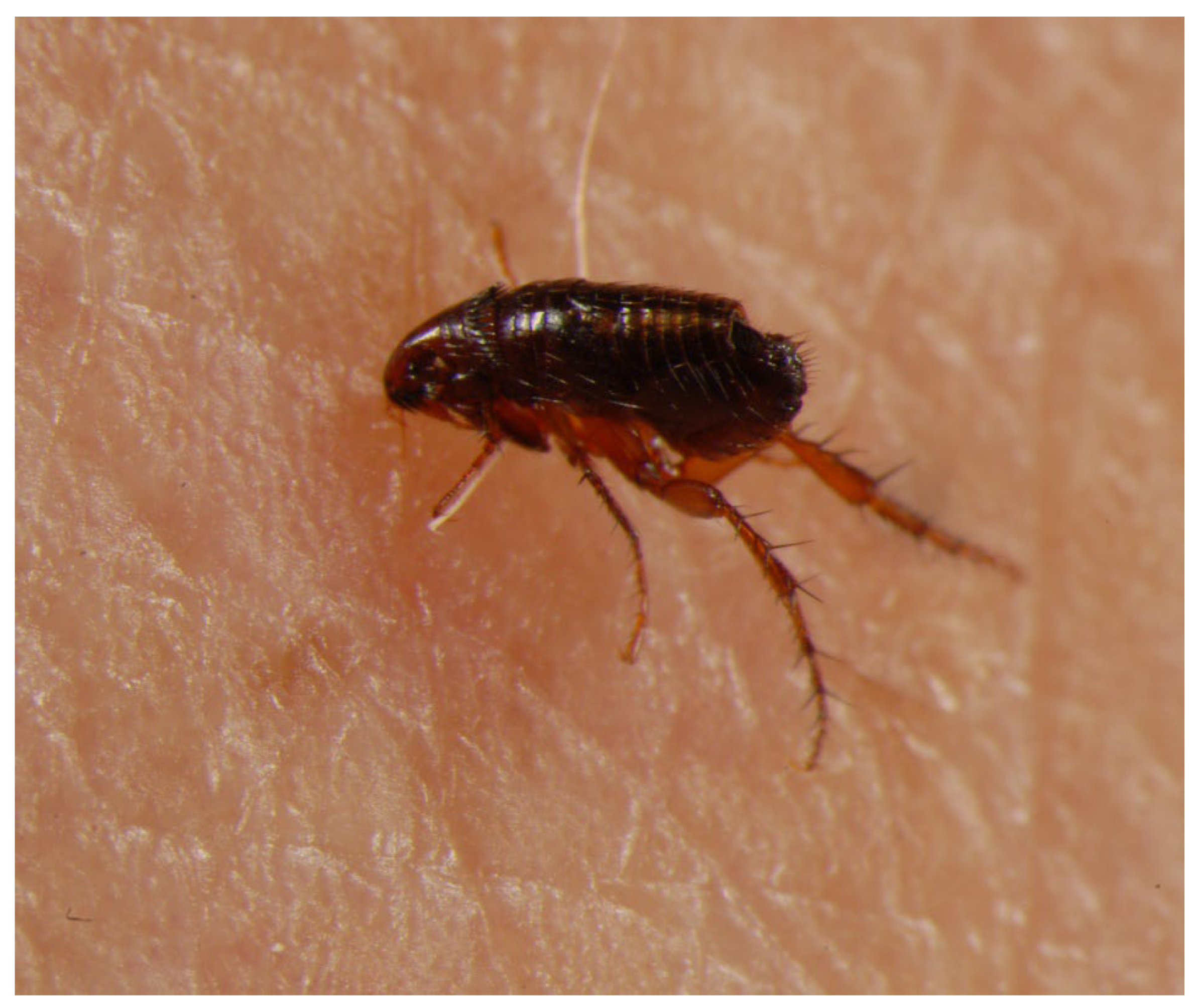 Microorganisms 13 02619 g002