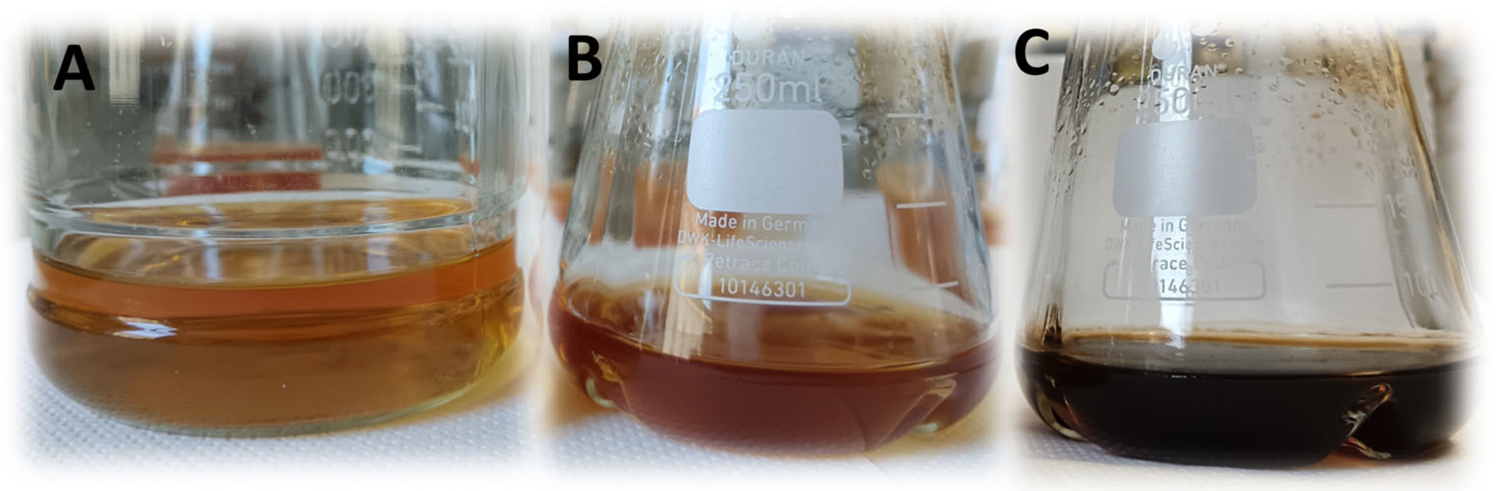 Microorganisms 13 02620 g002