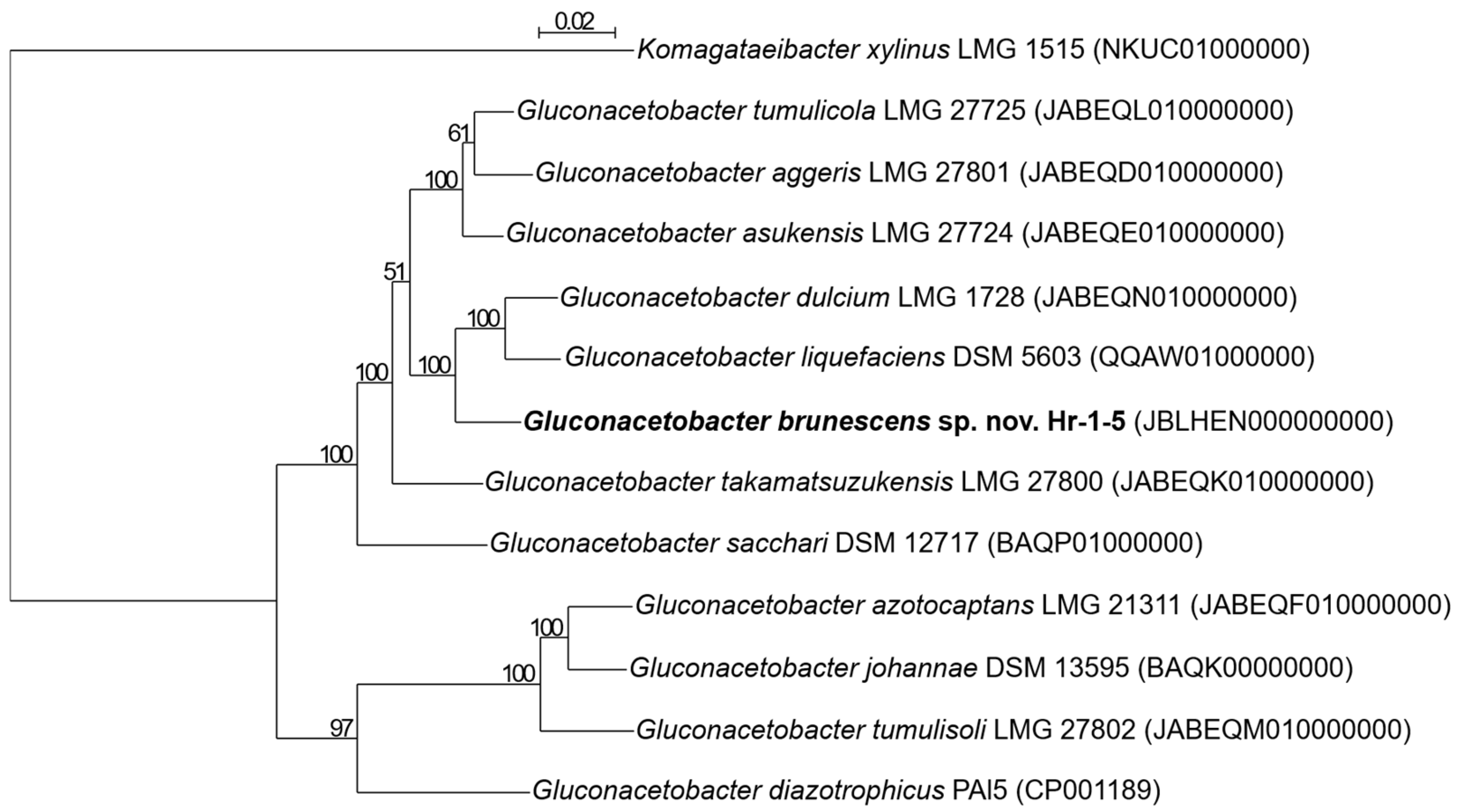 Microorganisms 13 02620 g003