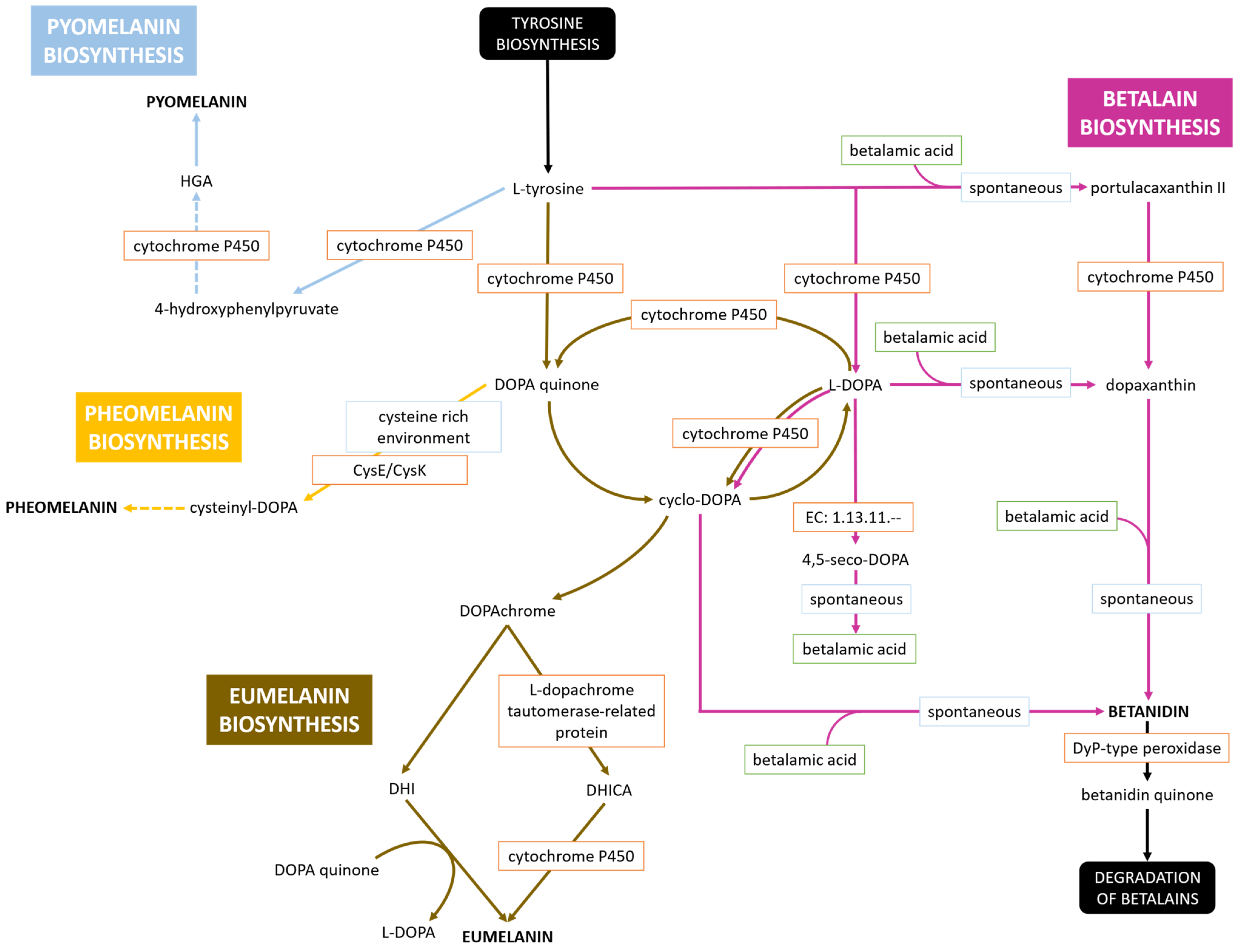 Microorganisms 13 02620 g004