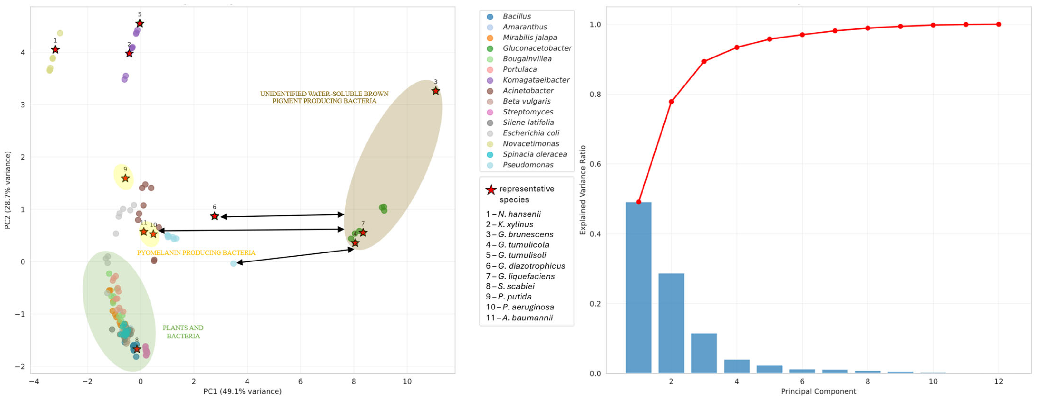 Microorganisms 13 02620 g0a2