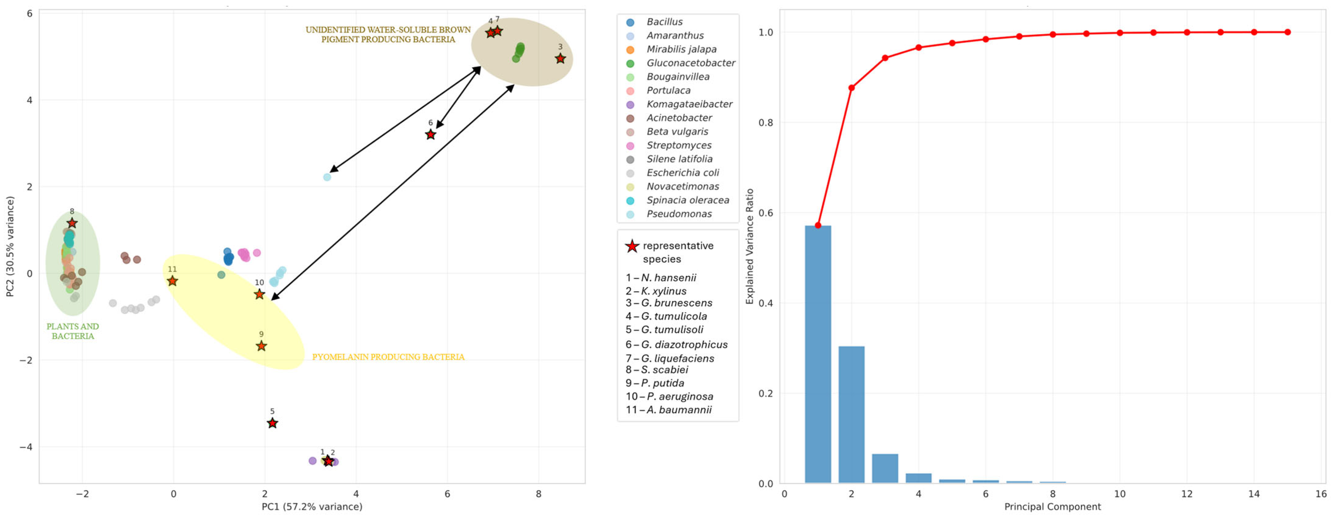 Microorganisms 13 02620 g0a3