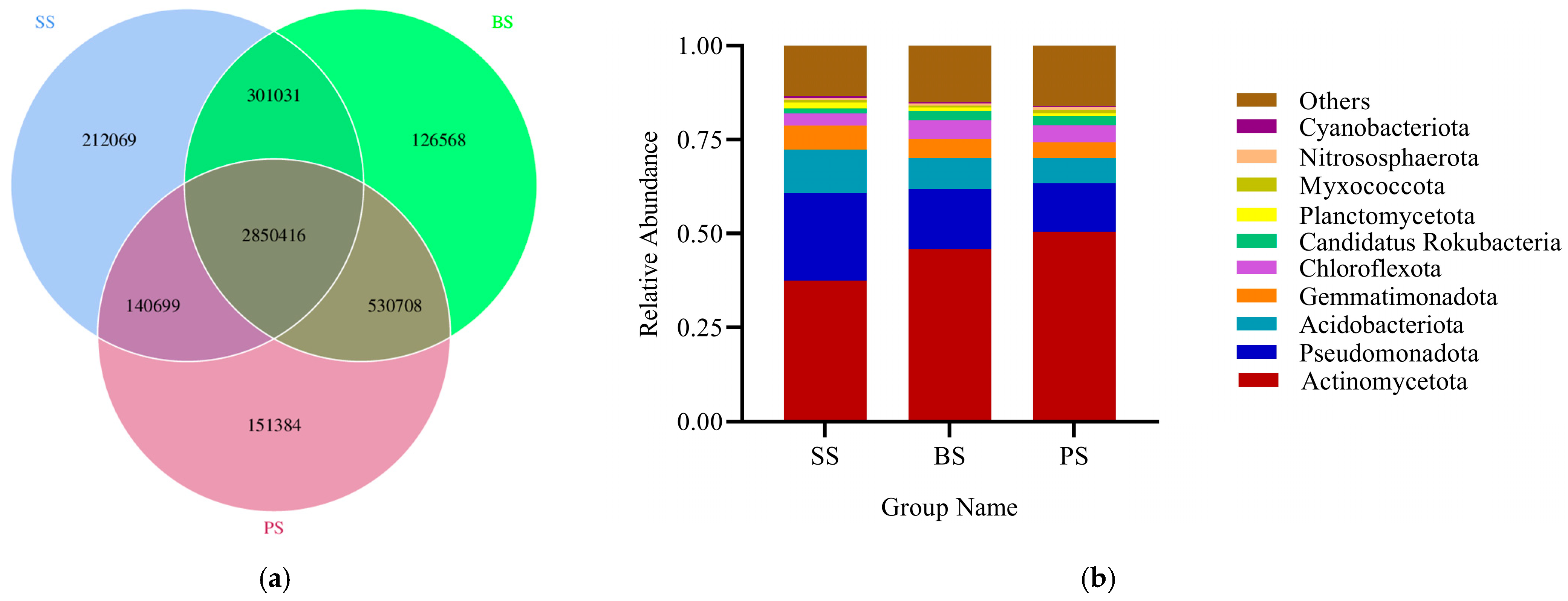 Microorganisms 13 02621 g009
