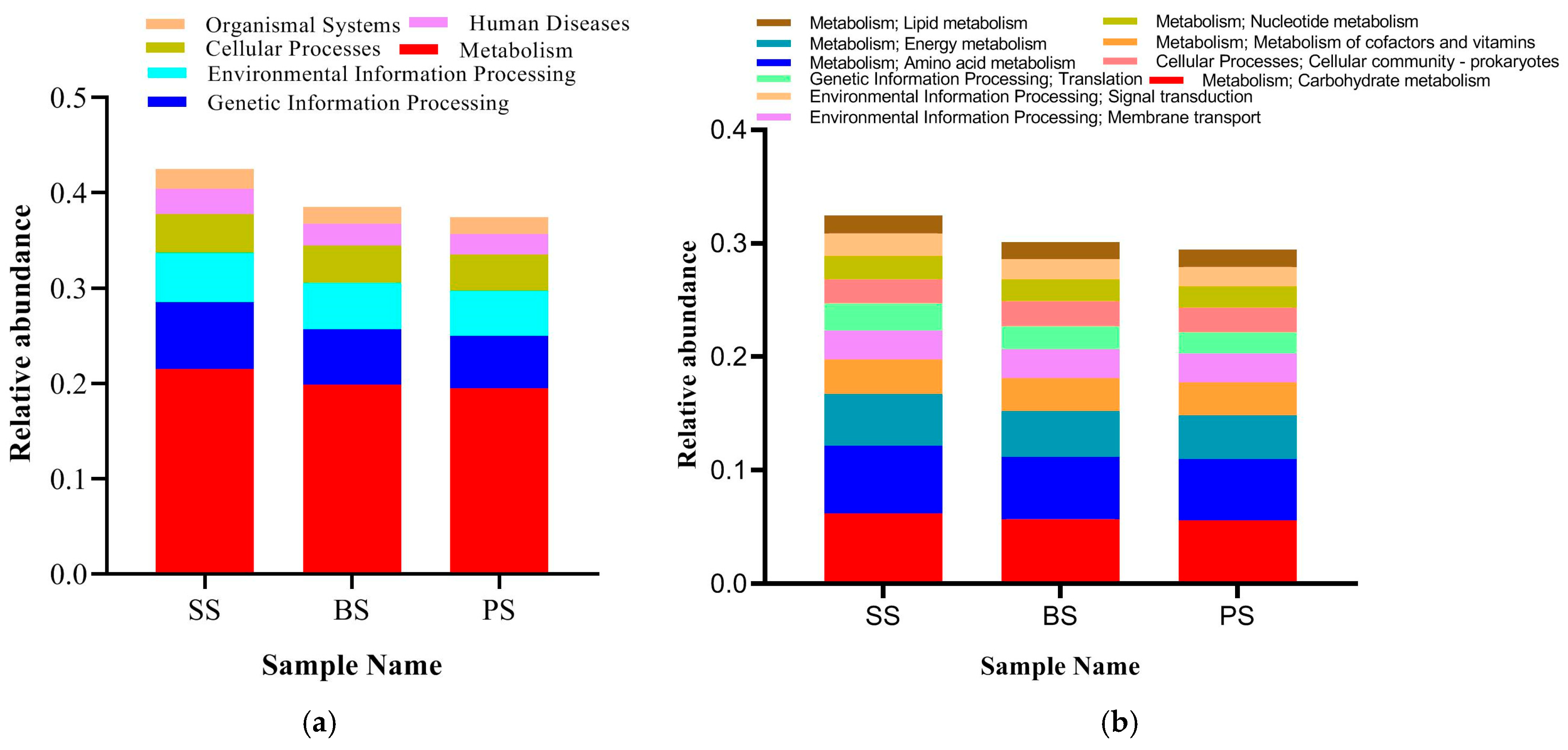 Microorganisms 13 02621 g011