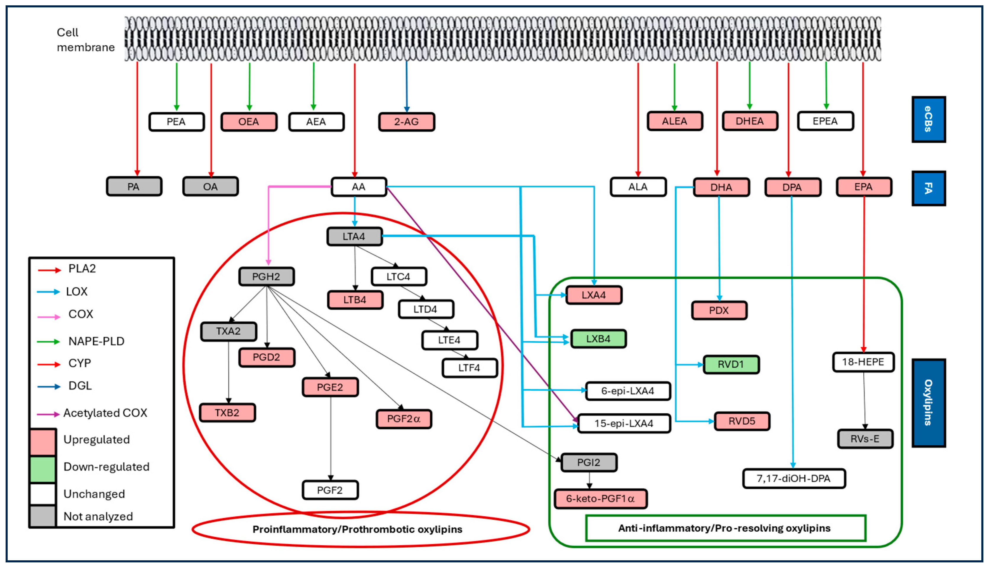 Microorganisms 13 02622 g005