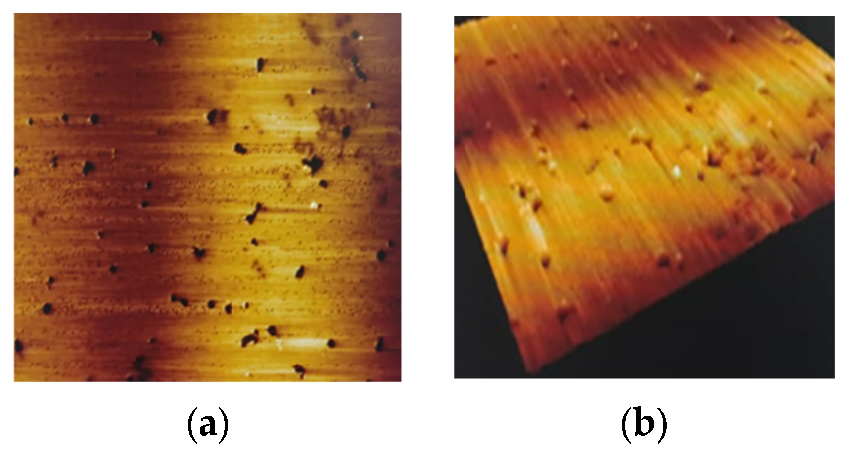 Microorganisms 13 02623 g001