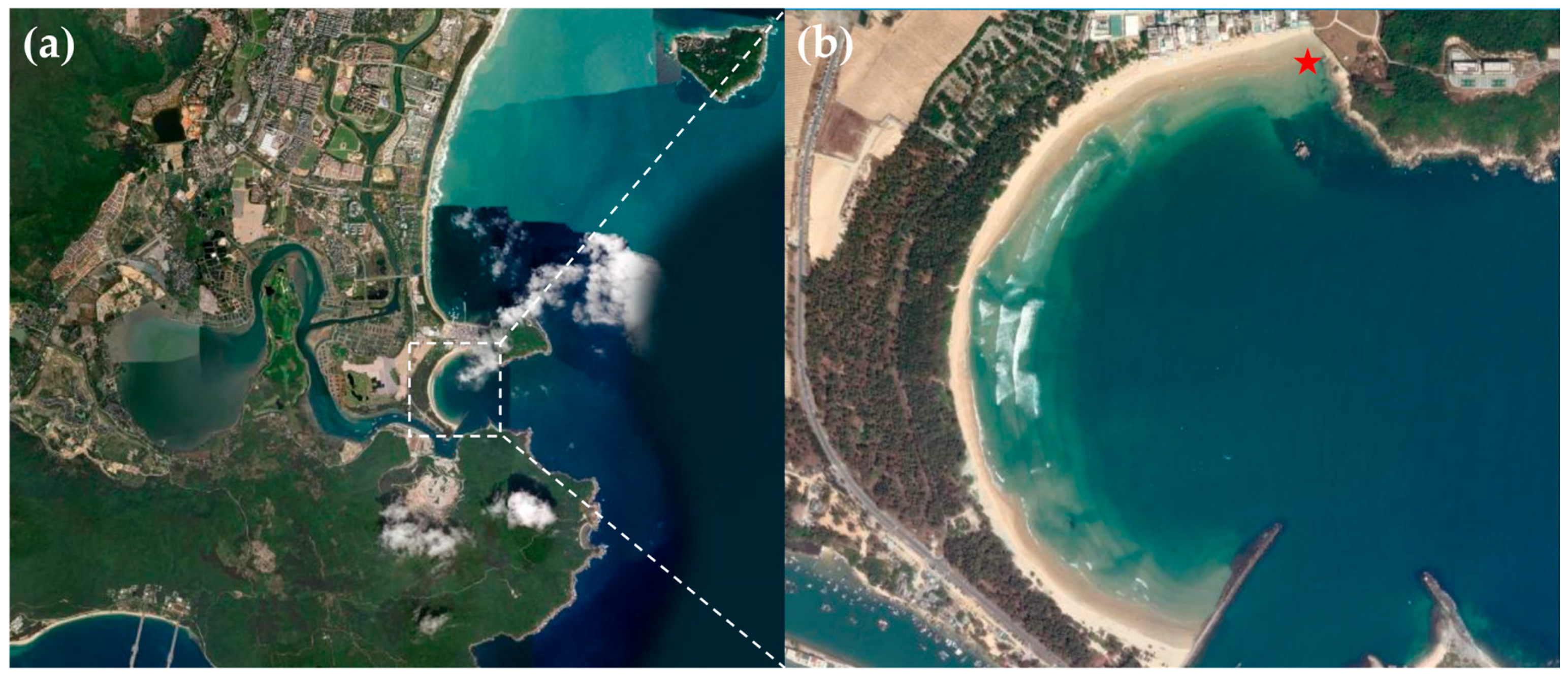 Microorganisms 13 02624 g001