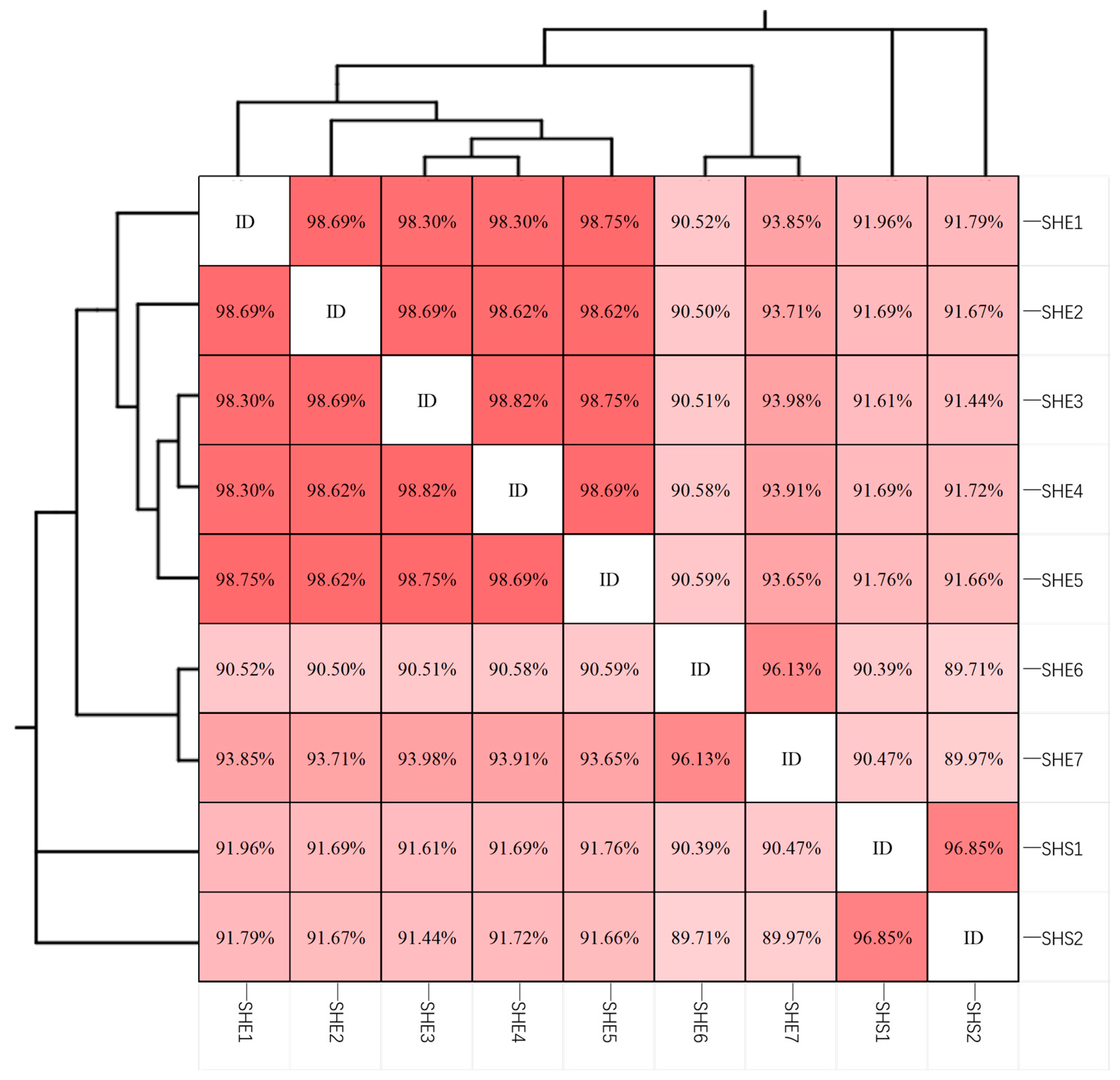 Microorganisms 13 02624 g005