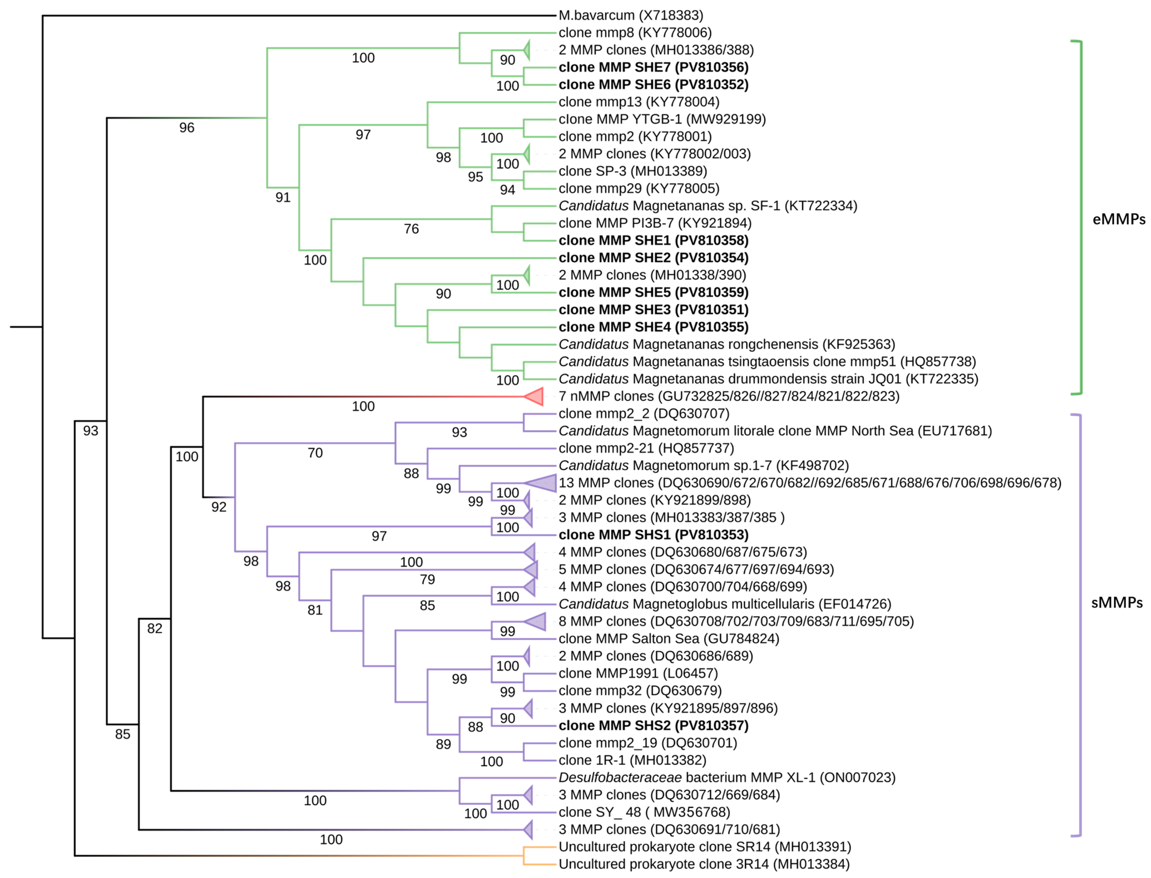 Microorganisms 13 02624 g006