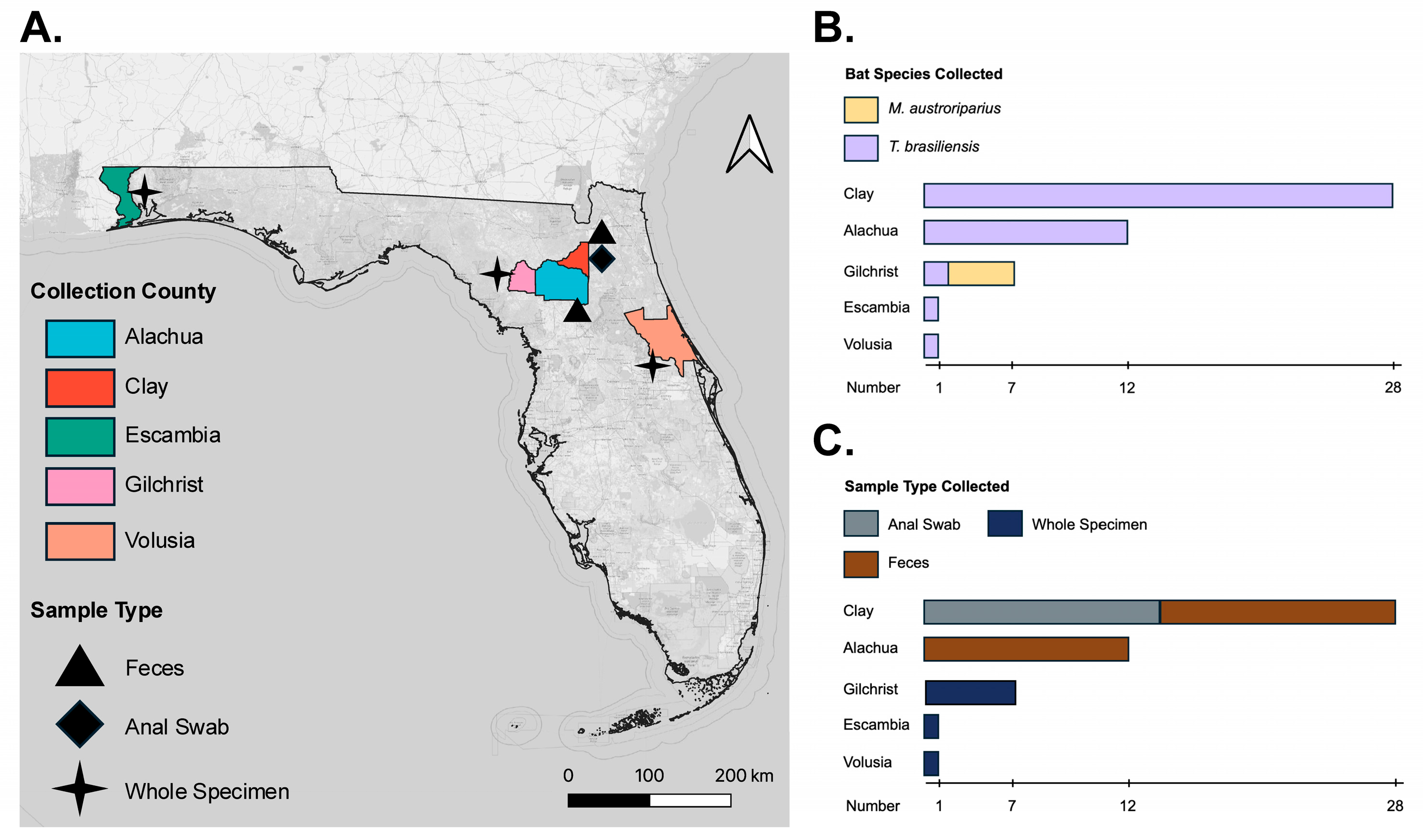 Microorganisms 13 02625 g001