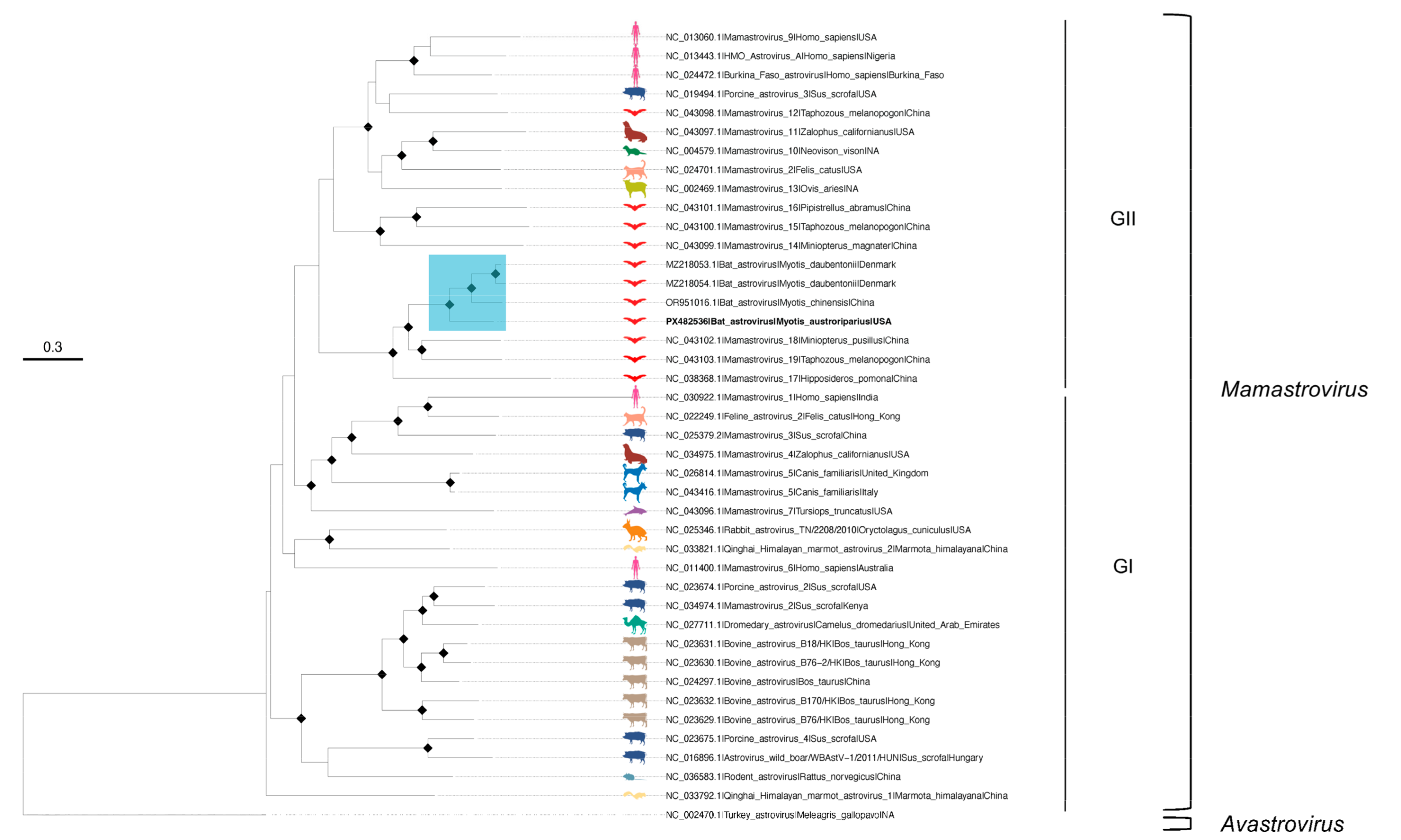 Microorganisms 13 02625 g002