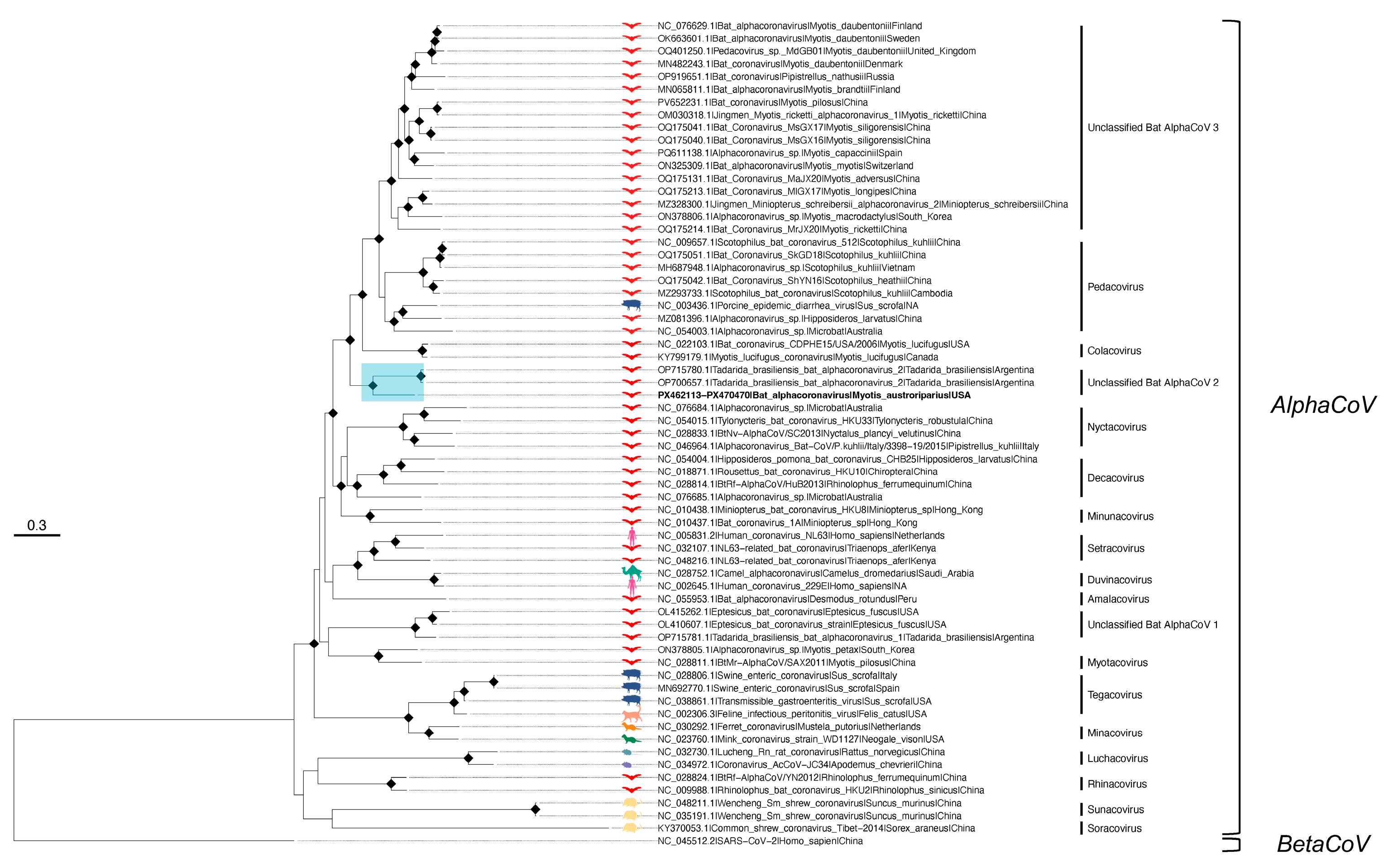 Microorganisms 13 02625 g003